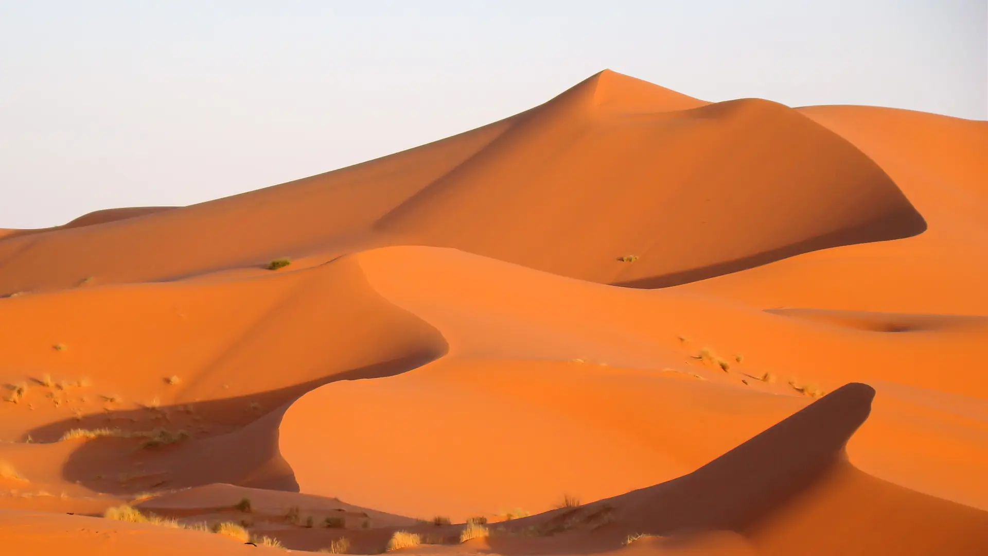 Golden Erg Chebbi dunes beside Merzouga in full sun