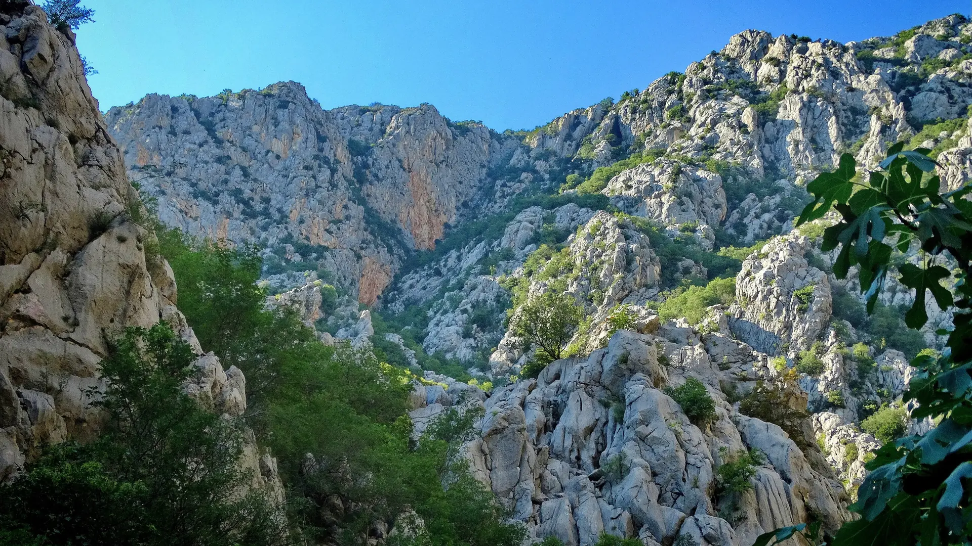 Pale limestone canyon walls and green vegetation in Paklenica National Park beneath a clear blue sky.