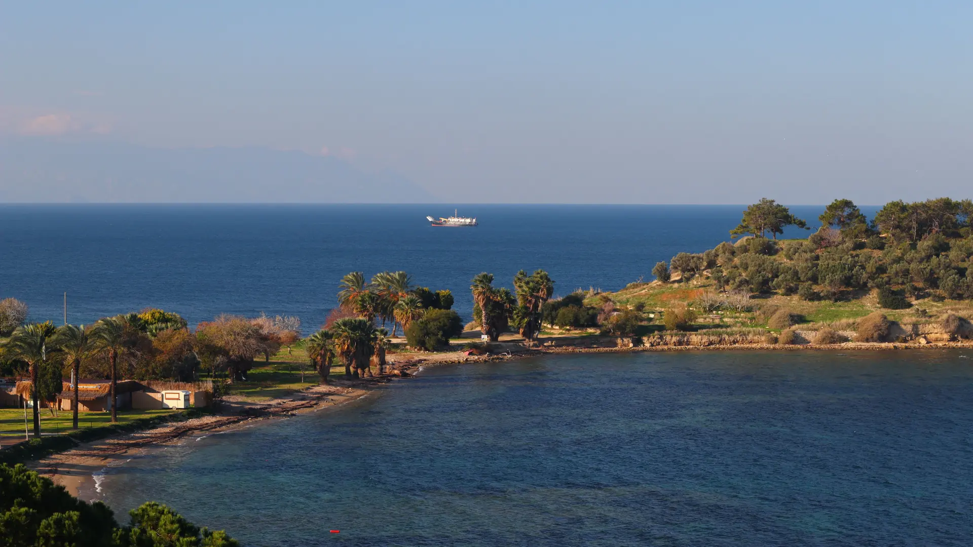 Sunny Kuşadası coastal landscape with palm trees and a small boat on blue Aegean water