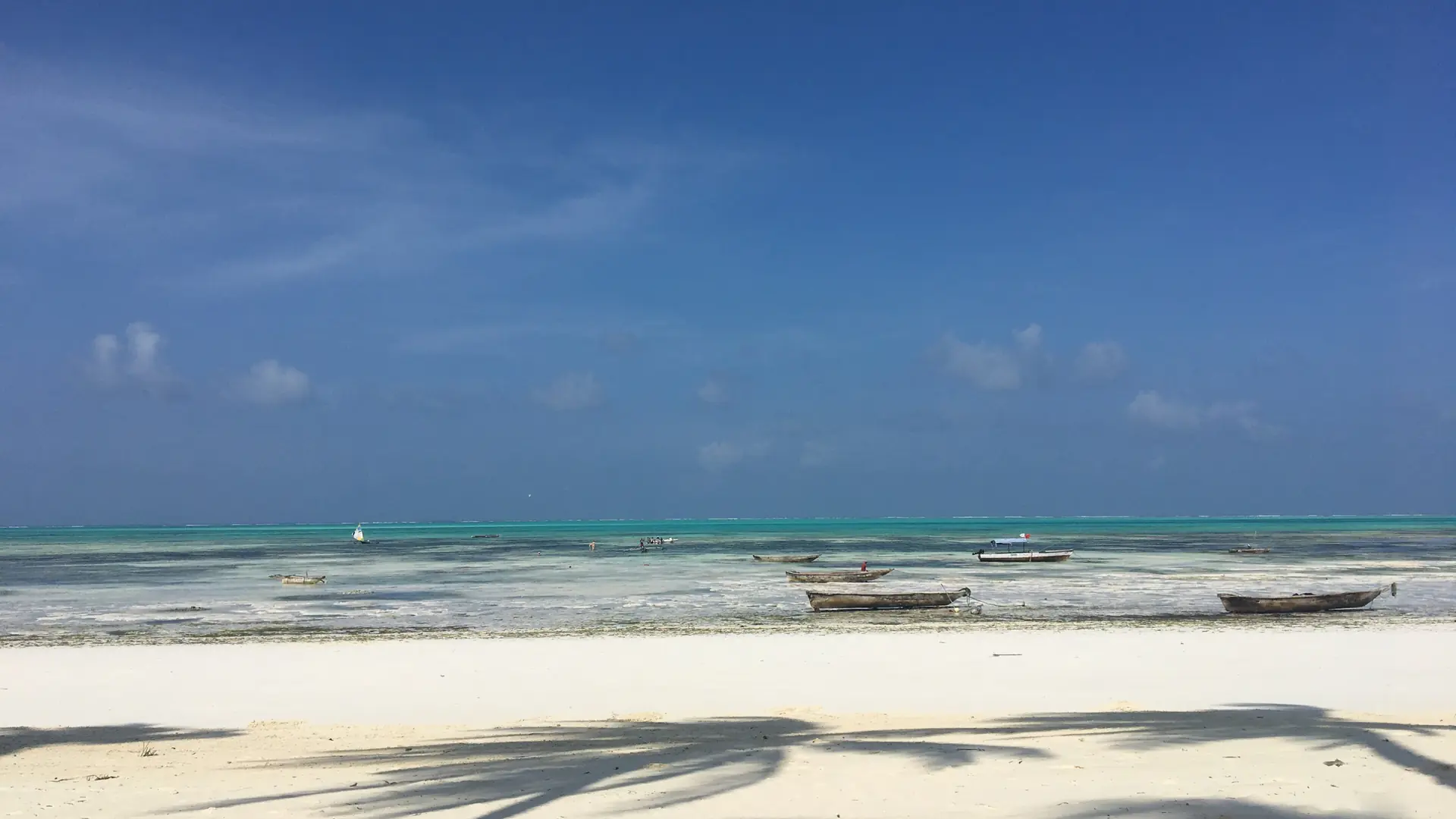 Jambiani beach at low tide, with pale sand and shallow sea