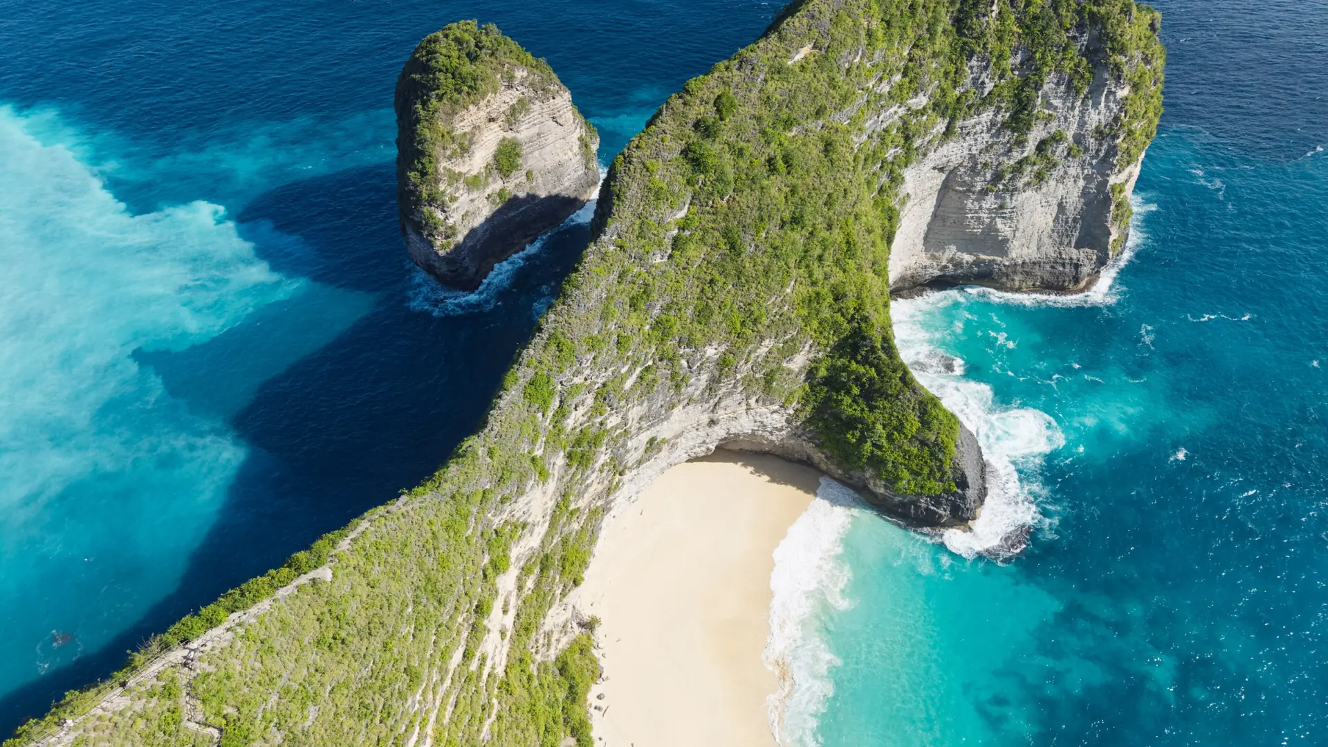 The green T-Rex-shaped Kelingking headland above pale sand and turquoise water on Nusa Penida