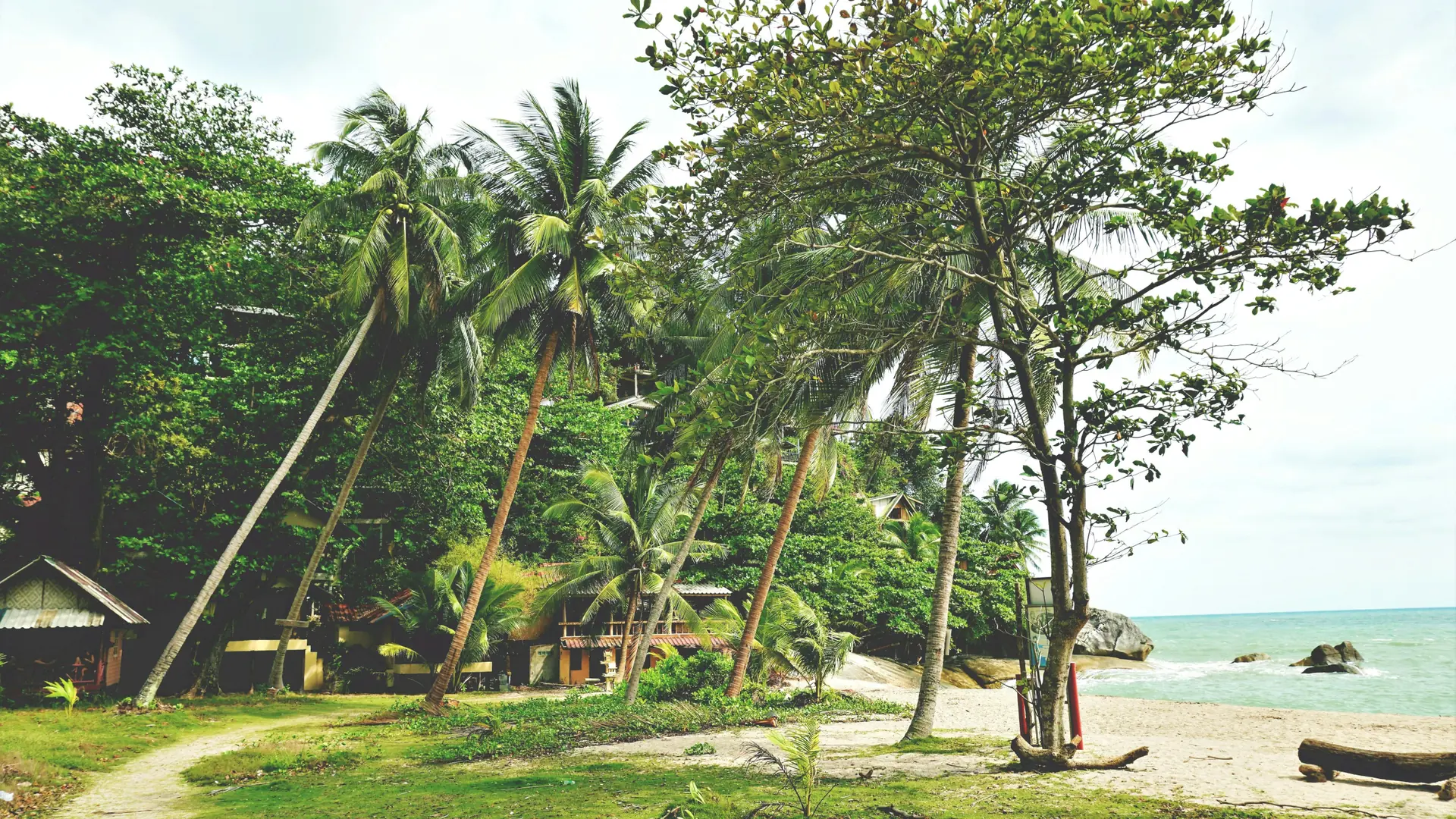 Palms and villas edging a bright sandy beach on Koh Phangan