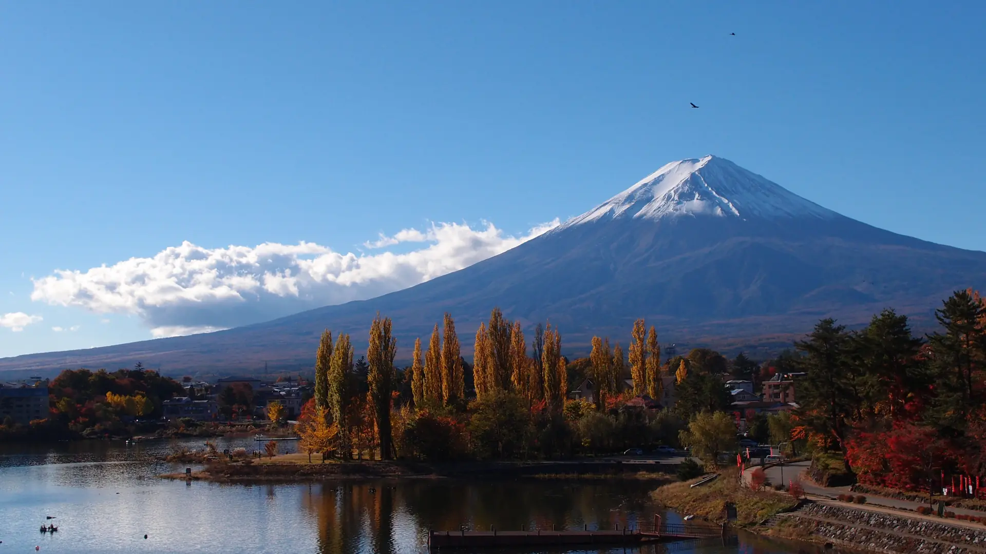 Snow-capped Mount Fuji reflected in a blue lake beneath clear sunshine