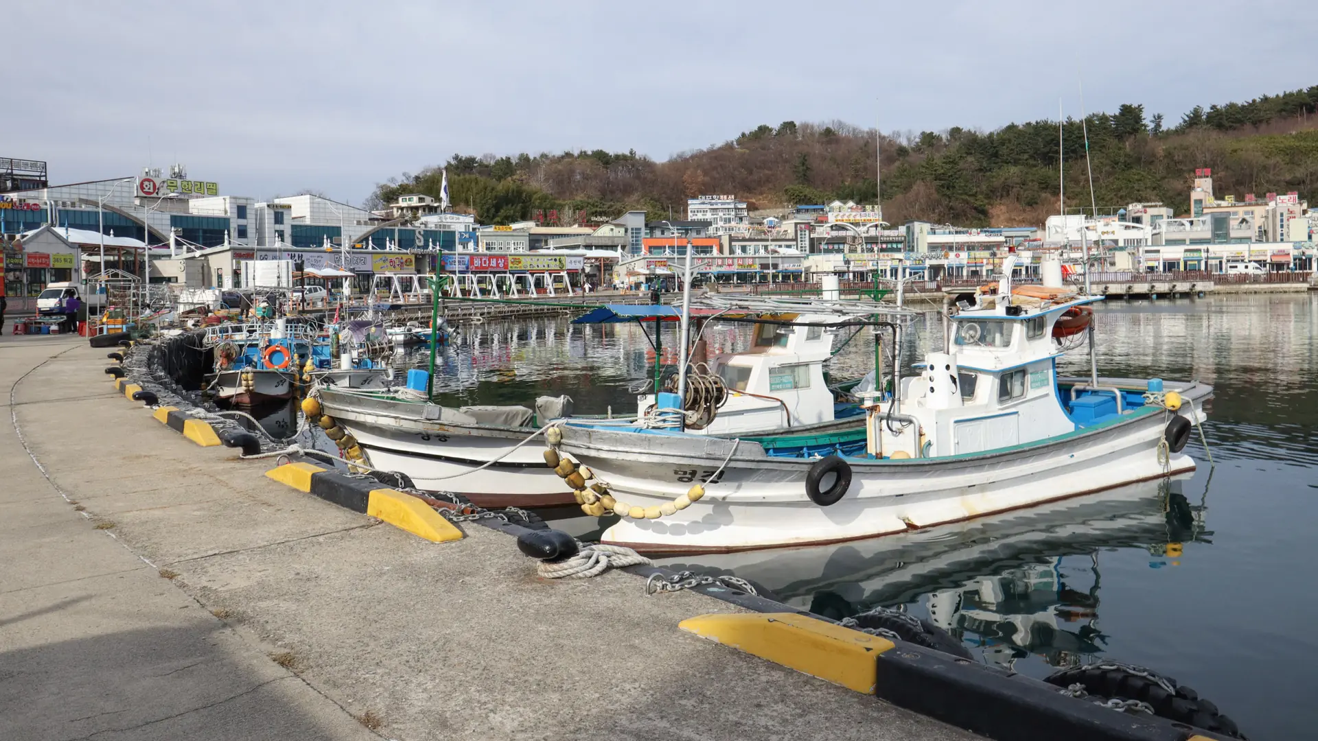 White and blue fishing boats moored beside the quay at Daepohang, with waterfront restaurants across the harbour