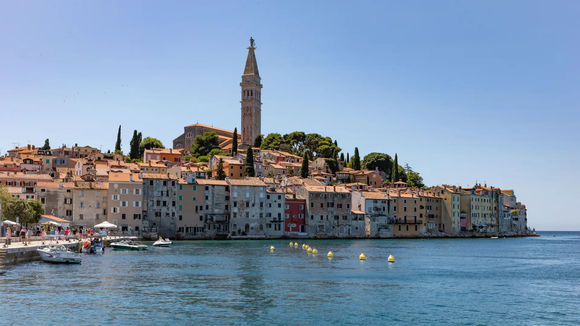 Rovinj’s colourful waterfront houses and St Euphemia’s bell tower under a clear blue sky