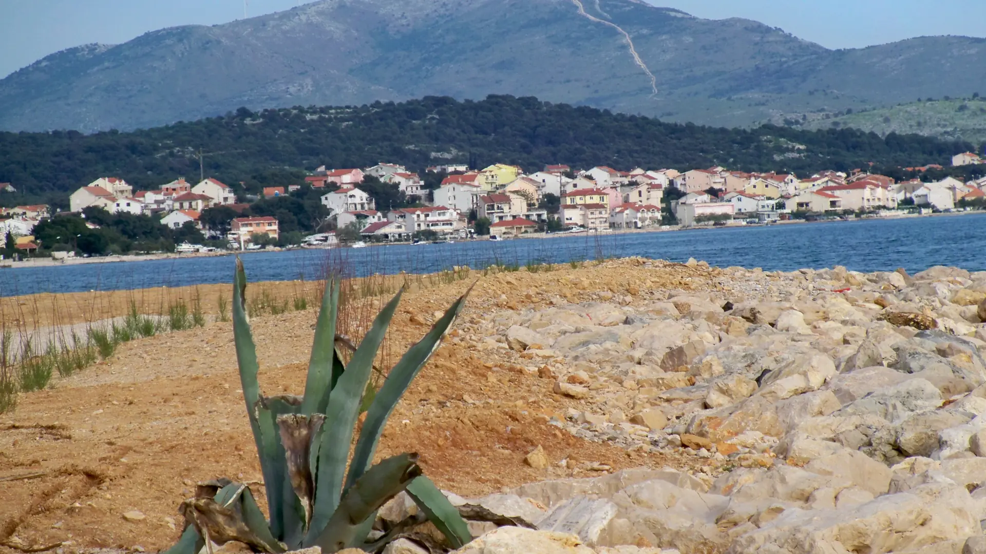 Agave beside the Solaris shore with Brodarica across the water