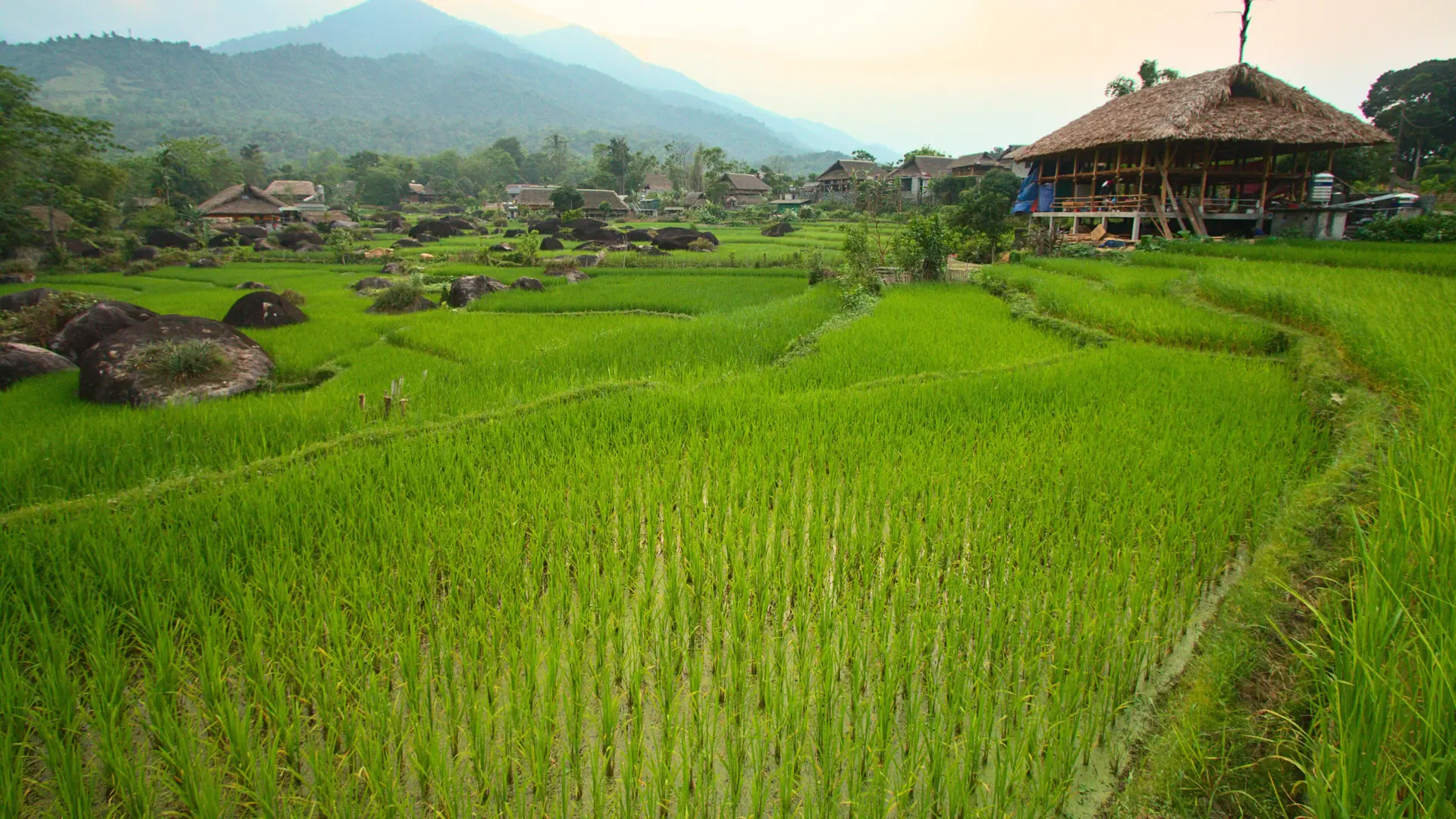 Rice fields and houses at Ha Thanh outside Ha Giang, a wider countryside scene