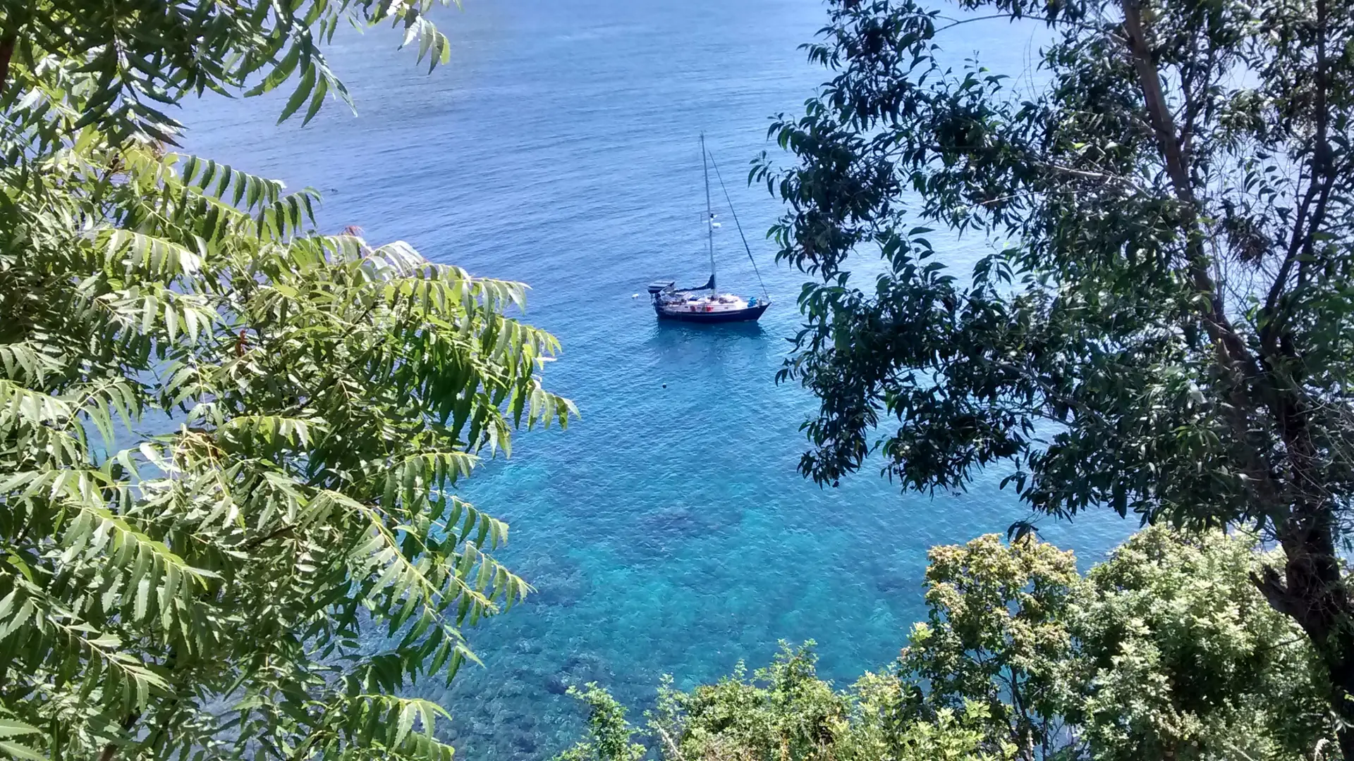 A sailing boat in clear blue water framed by trees on the wider Amed coastline