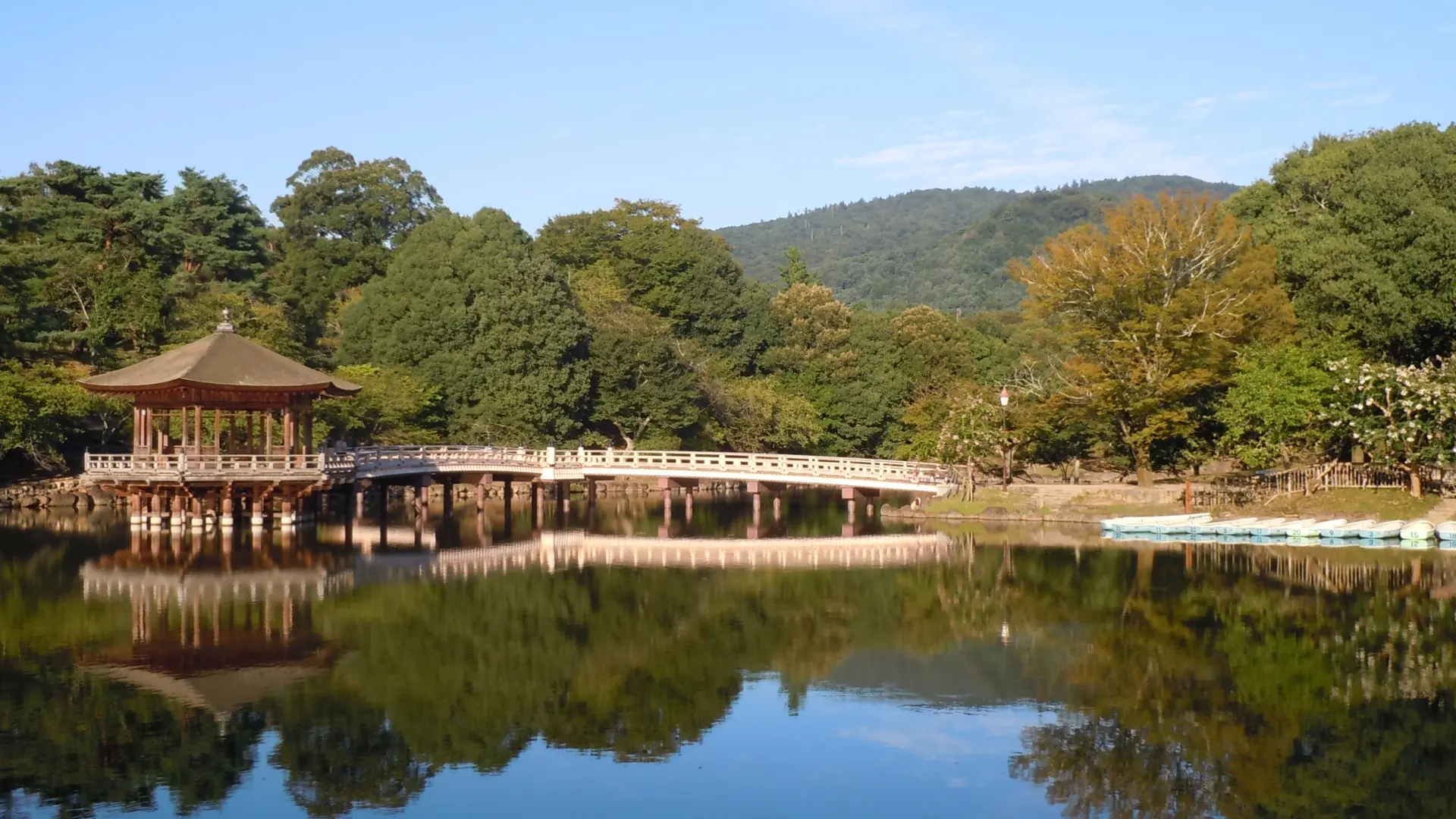 Ukimido’s wooden pavilion and curved bridge reflected in a sunlit pond in Nara Park