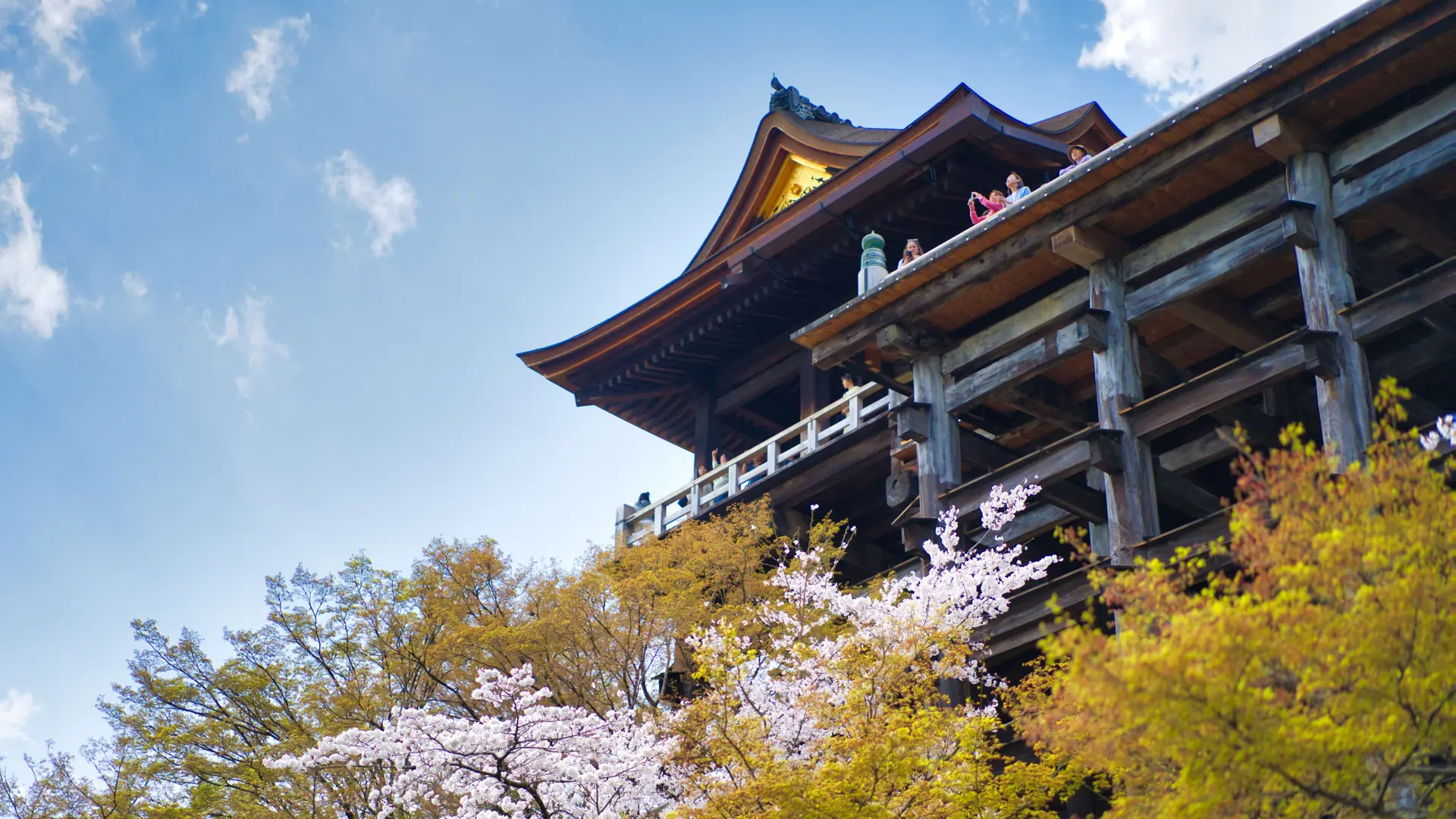 Visitors on Kiyomizu-dera’s wooden stage above flowering cherry trees in Kyoto