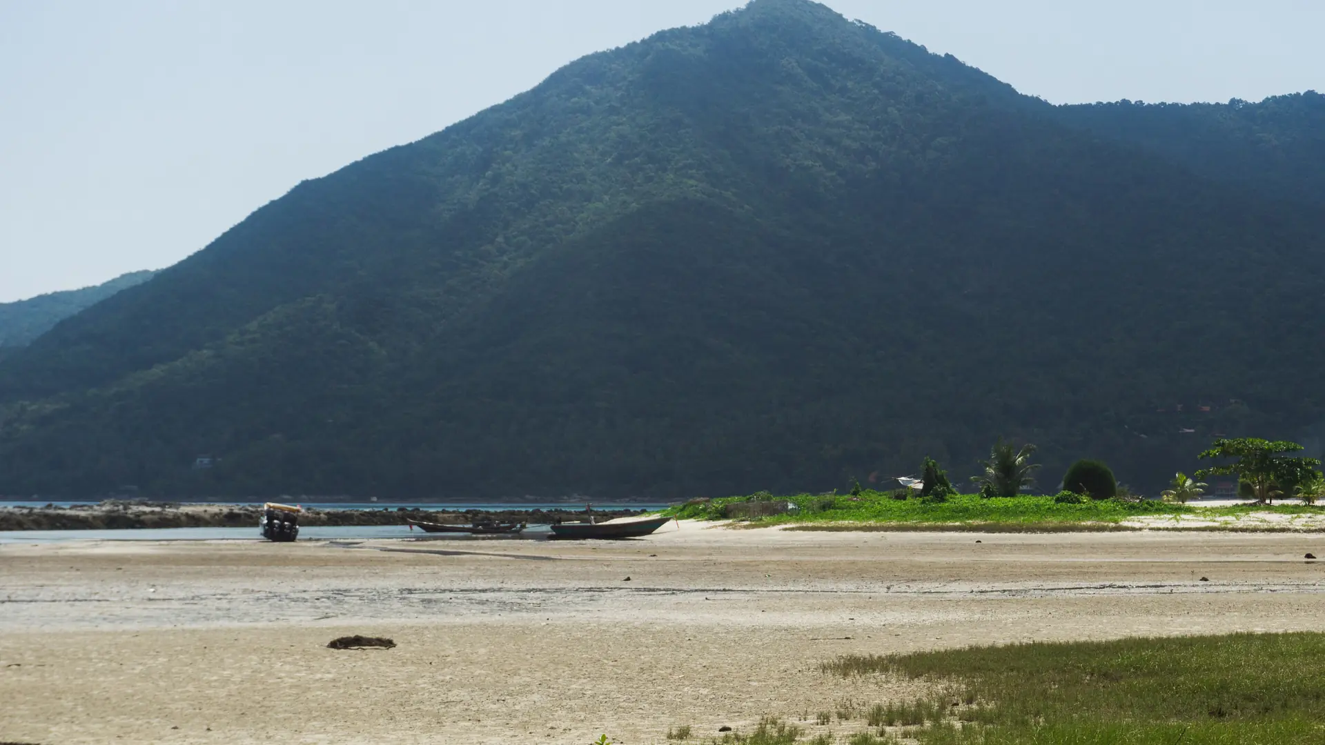 A secluded Koh Phangan beach beneath thick tropical forest