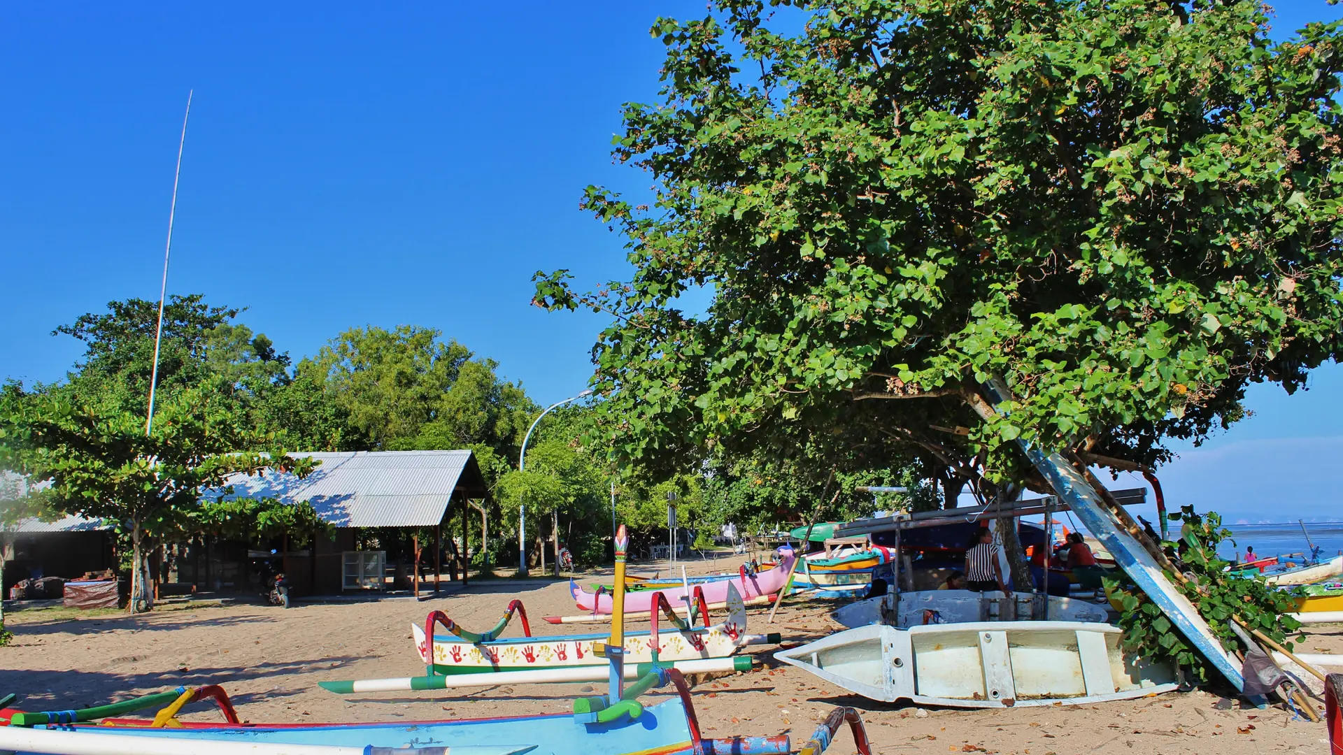 Colourful traditional jukung boats resting beneath shade trees on the wider Sanur beachfront in Bali