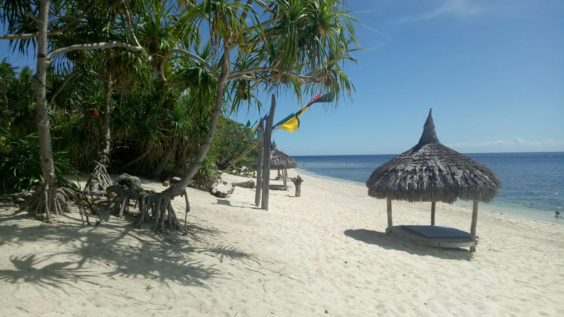 White sand and thatched beach shelters beside pandan trees and blue sea on Siquijor