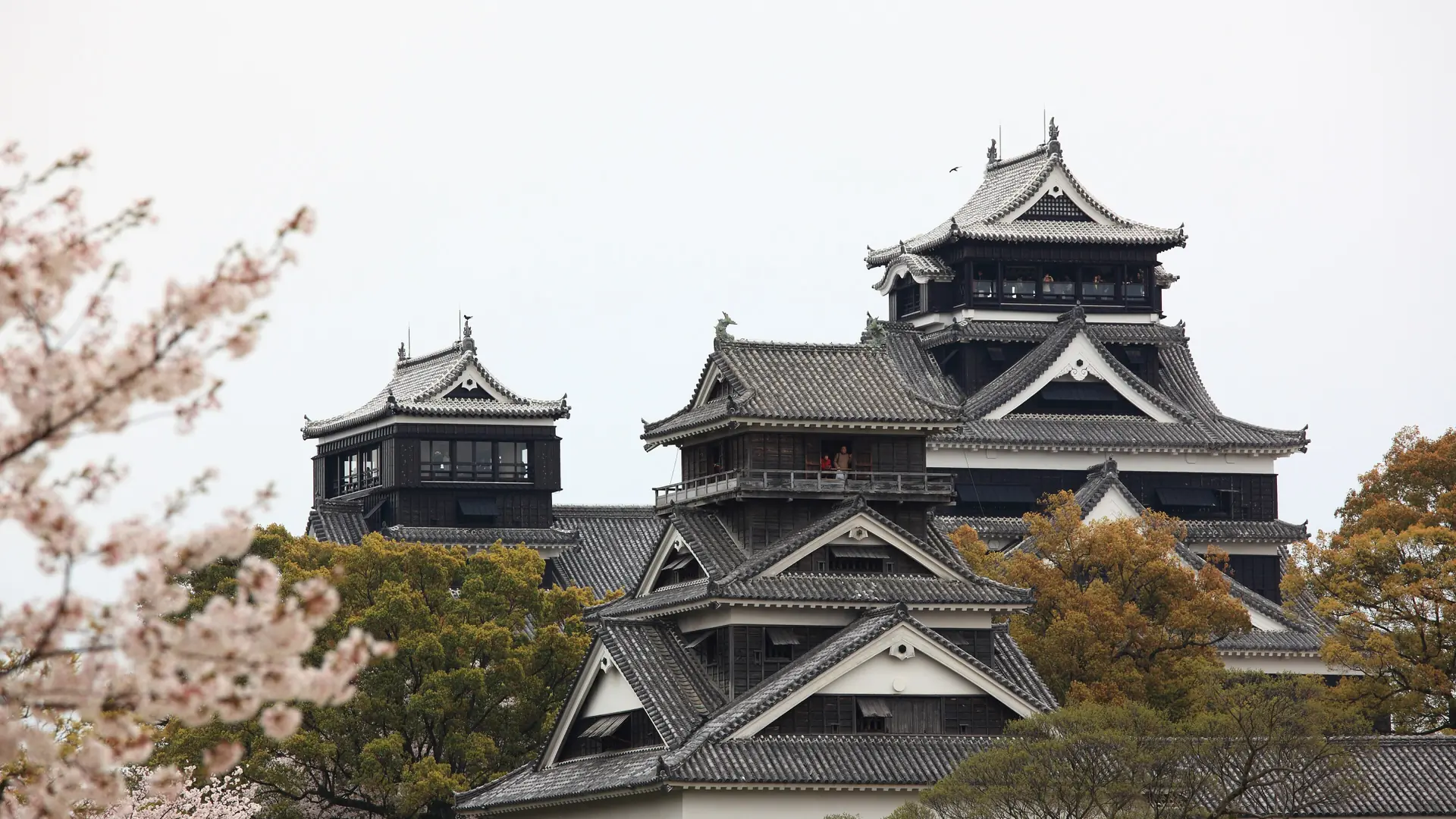Kumamoto Castle stone walls and dark keep beneath blue sky