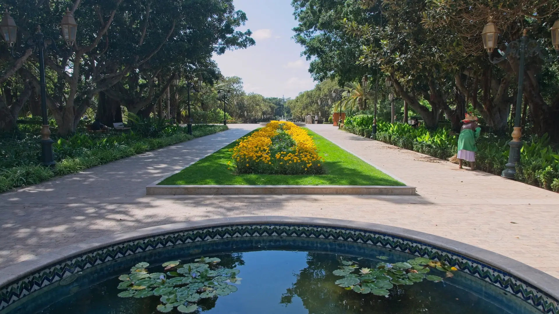 Water-lily pond and yellow flower bed in Rabat botanical garden