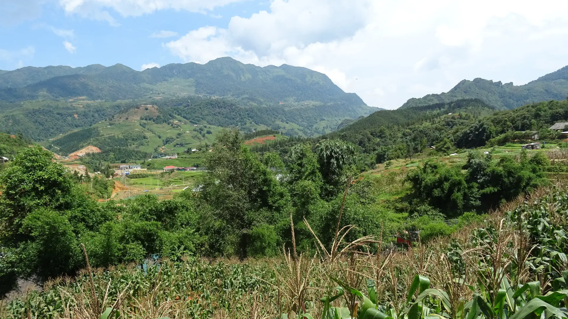 Green fields and mountain ridges in the Sapa countryside