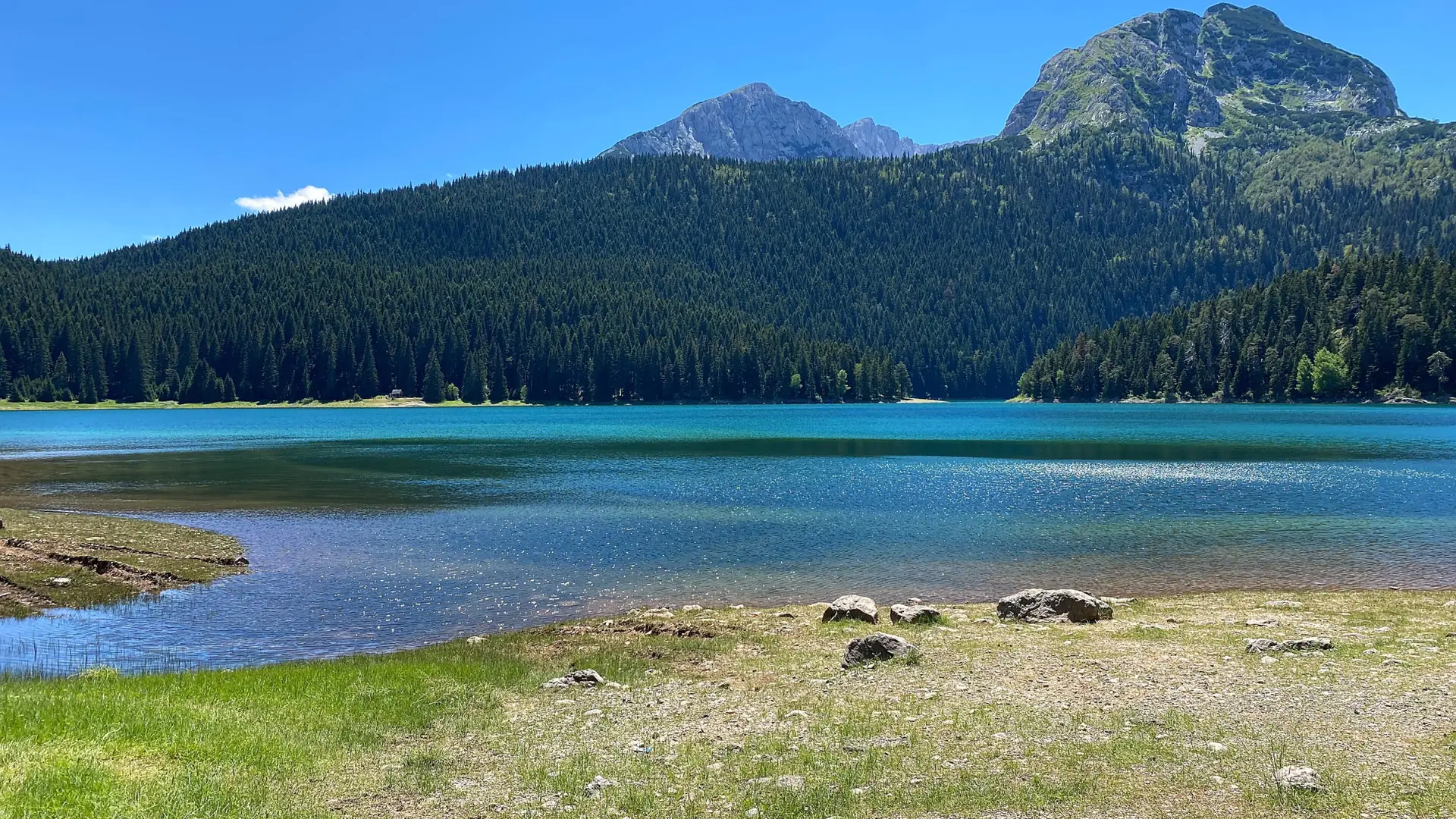 Black Lake and Durmitor pine forest on a bright summer day