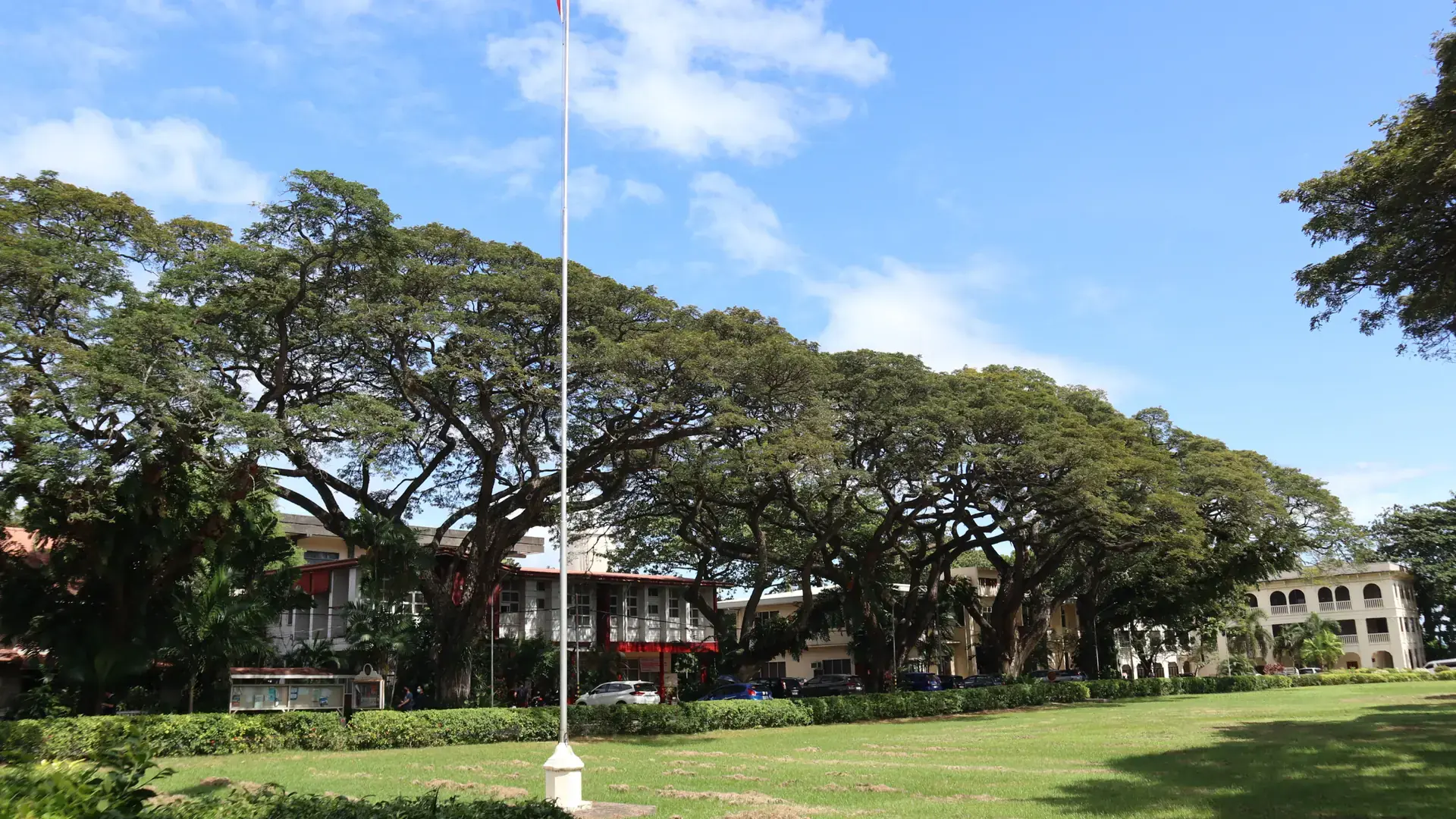 Acacia trees and open lawns on the Silliman University campus under a blue sky
