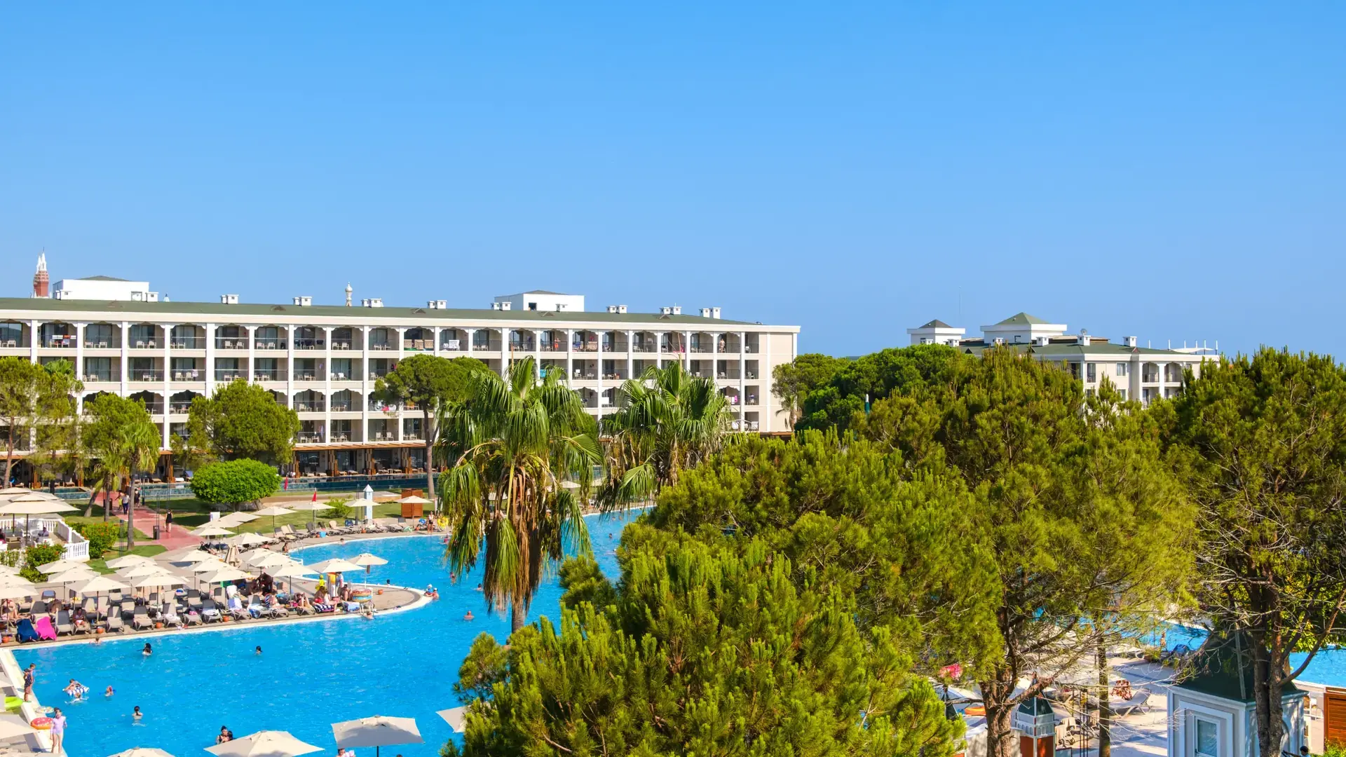 Palm-filled resort gardens and a large outdoor pool in bright summer daylight