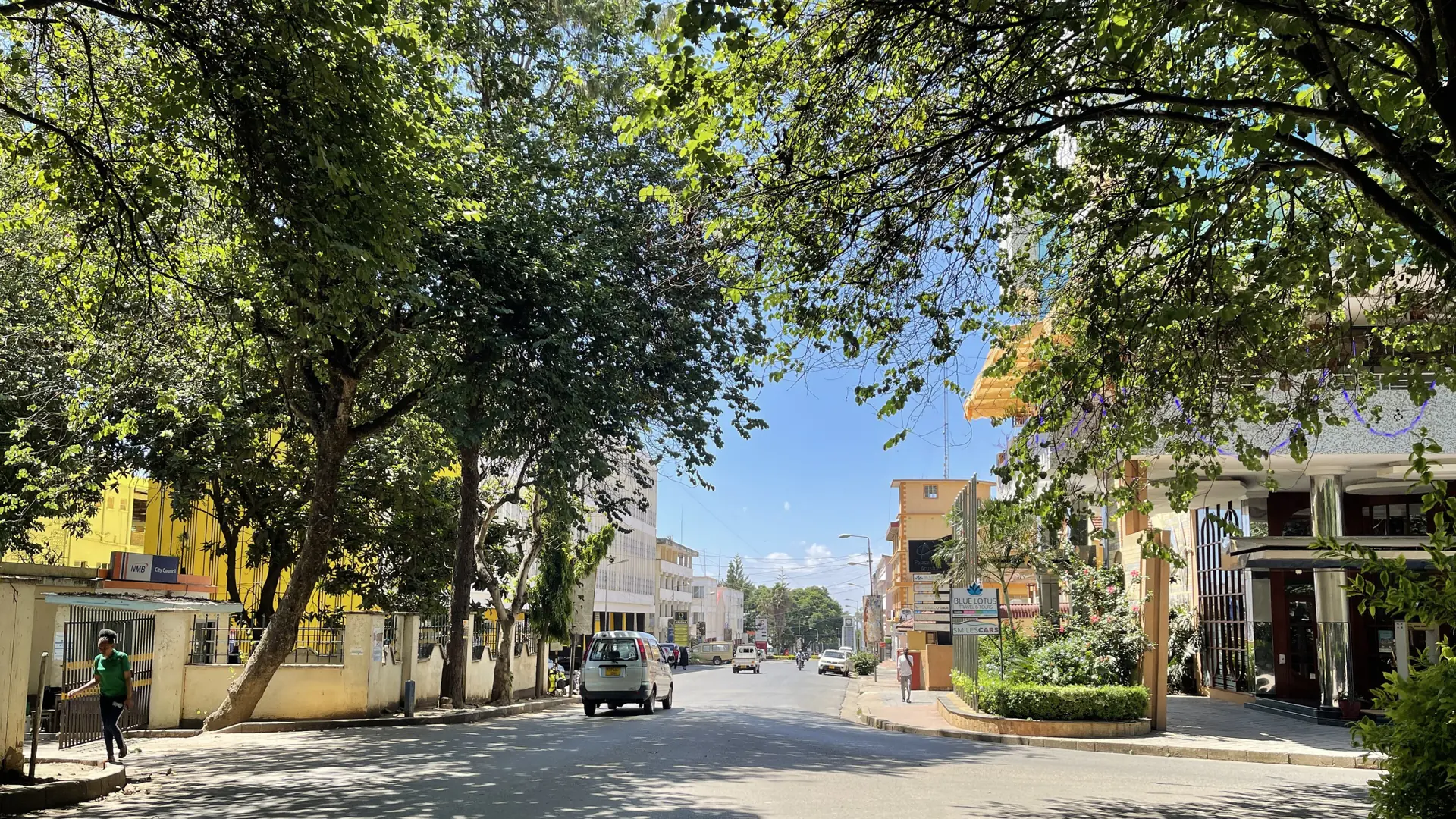 Sunny street in Arusha's Sekei Ward with trees and local buildings