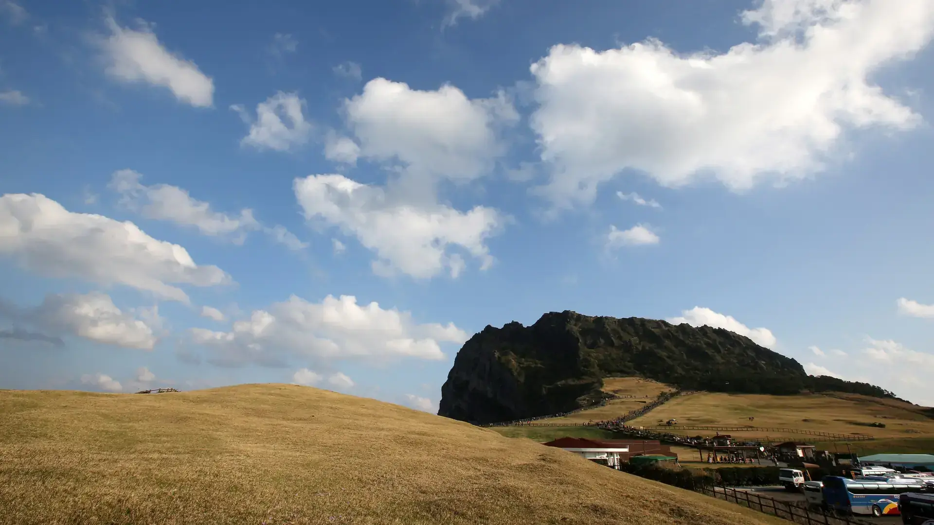 Seongsan Ilchulbong volcanic crater rising over Jeju's grasslands under a bright blue sky