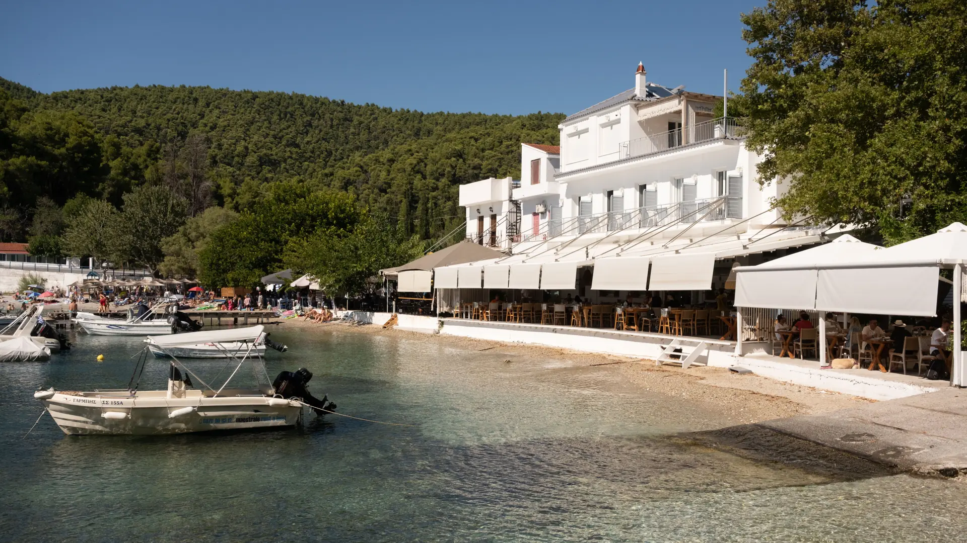 A sunny waterfront terrace beside clear water and green hills on Skopelos