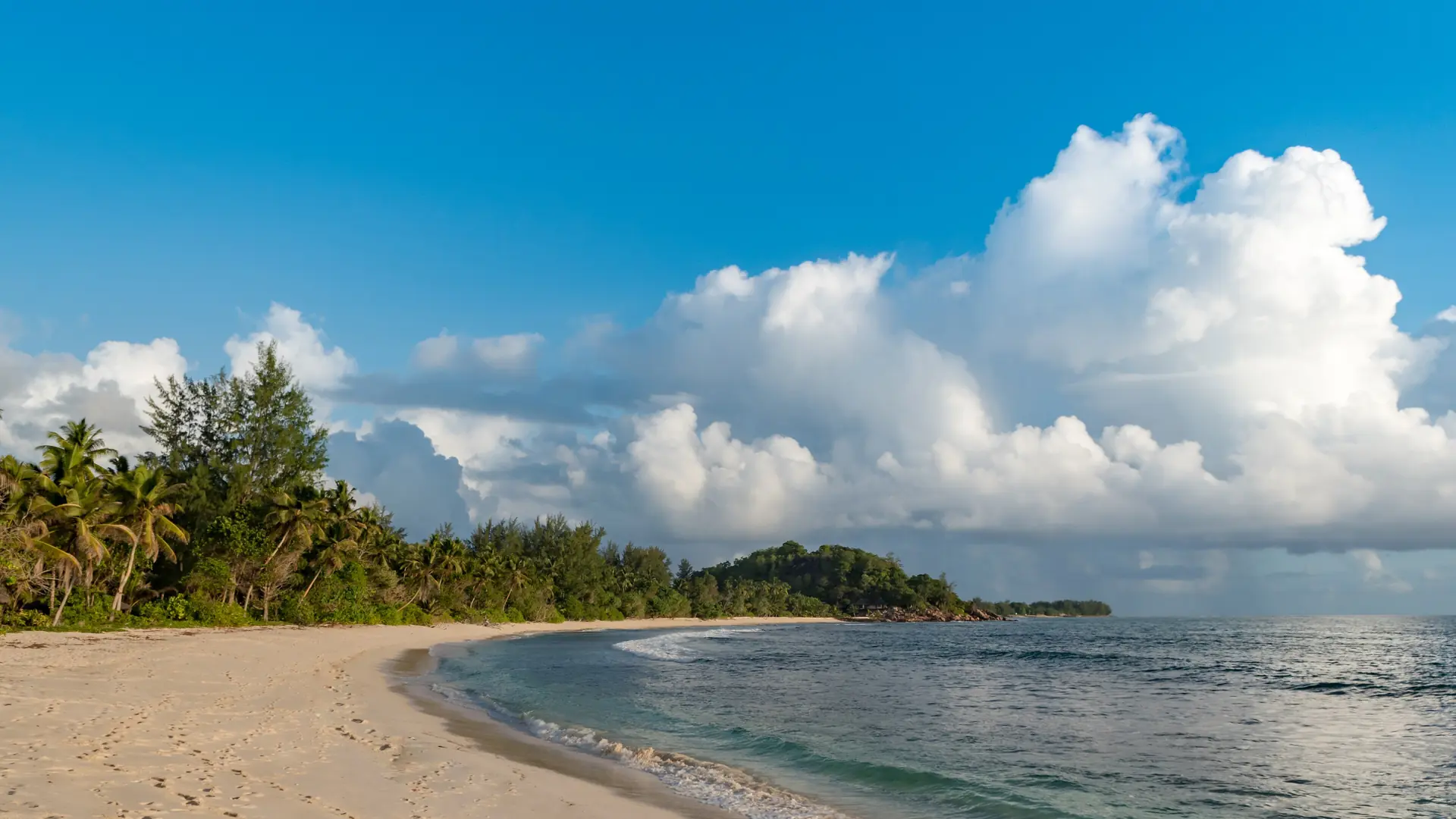 Sunlit sand, palms and blue sea at Anse Kerlan in Grand Anse Praslin