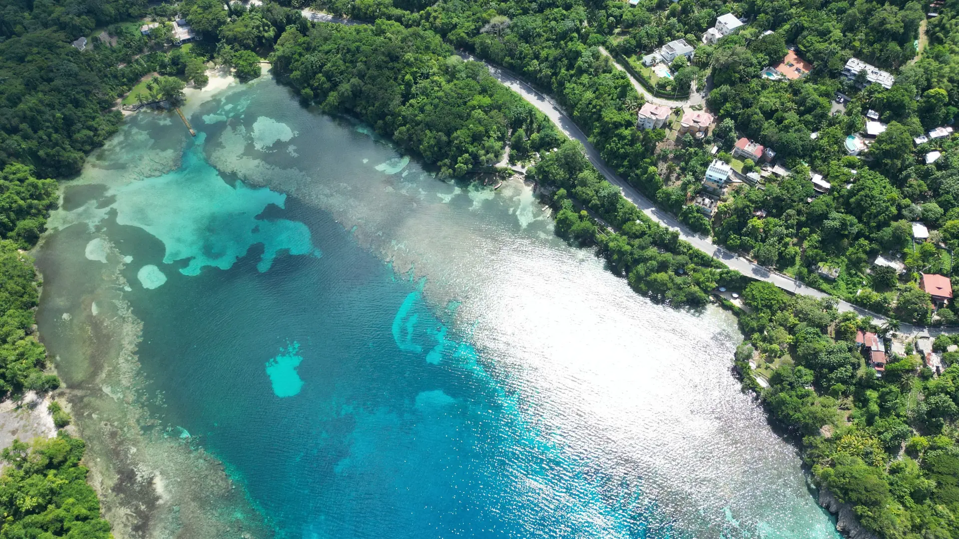 Aerial view of a wooded cove and turquoise water near Port Antonio
