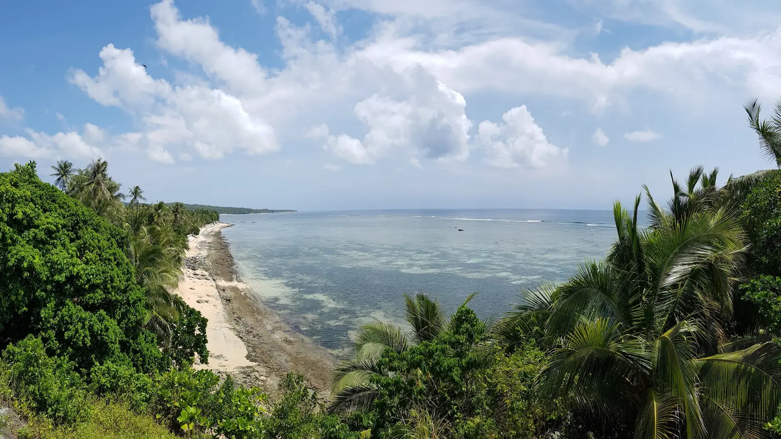 Palm-covered coastline at Burgos on northern Siargao, with pale sand and a shallow reef below the viewpoint