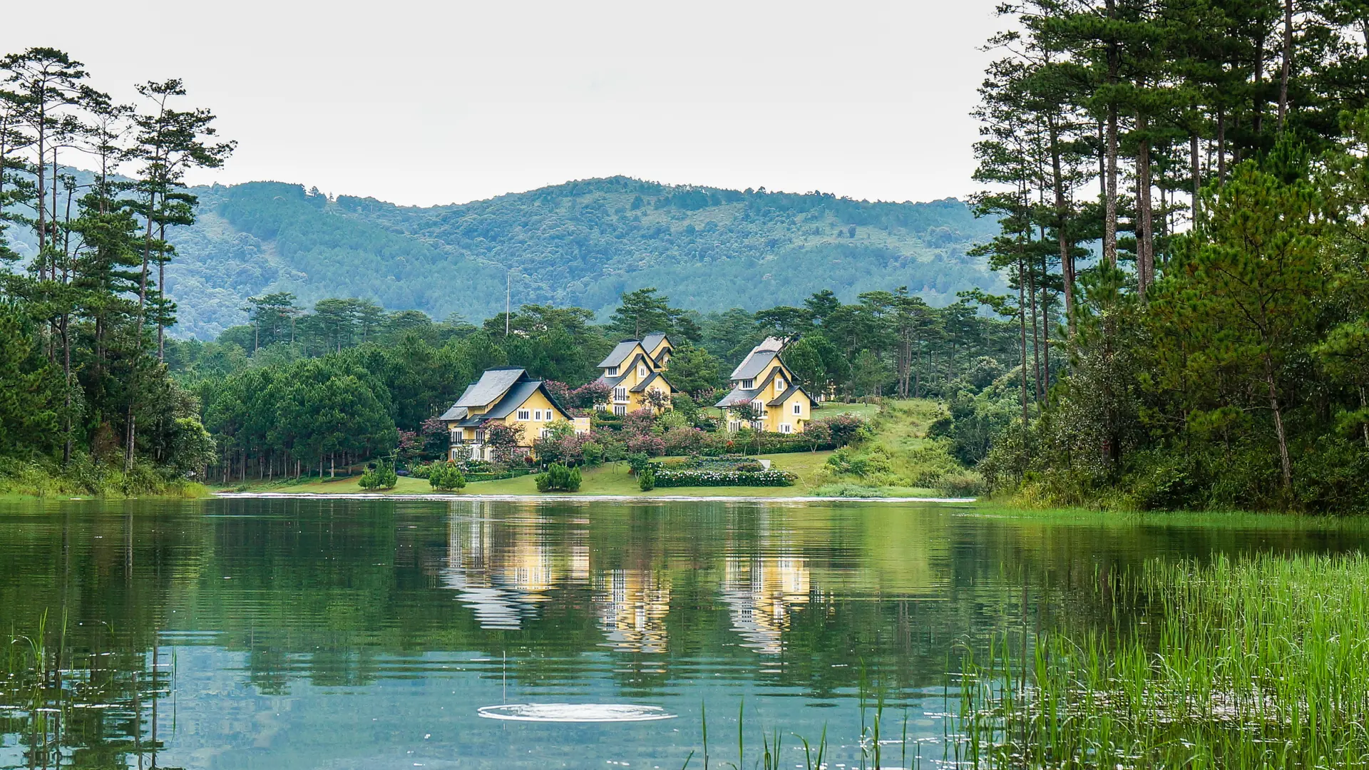 Binh An Village buildings among pine trees beside Tuyen Lam Lake