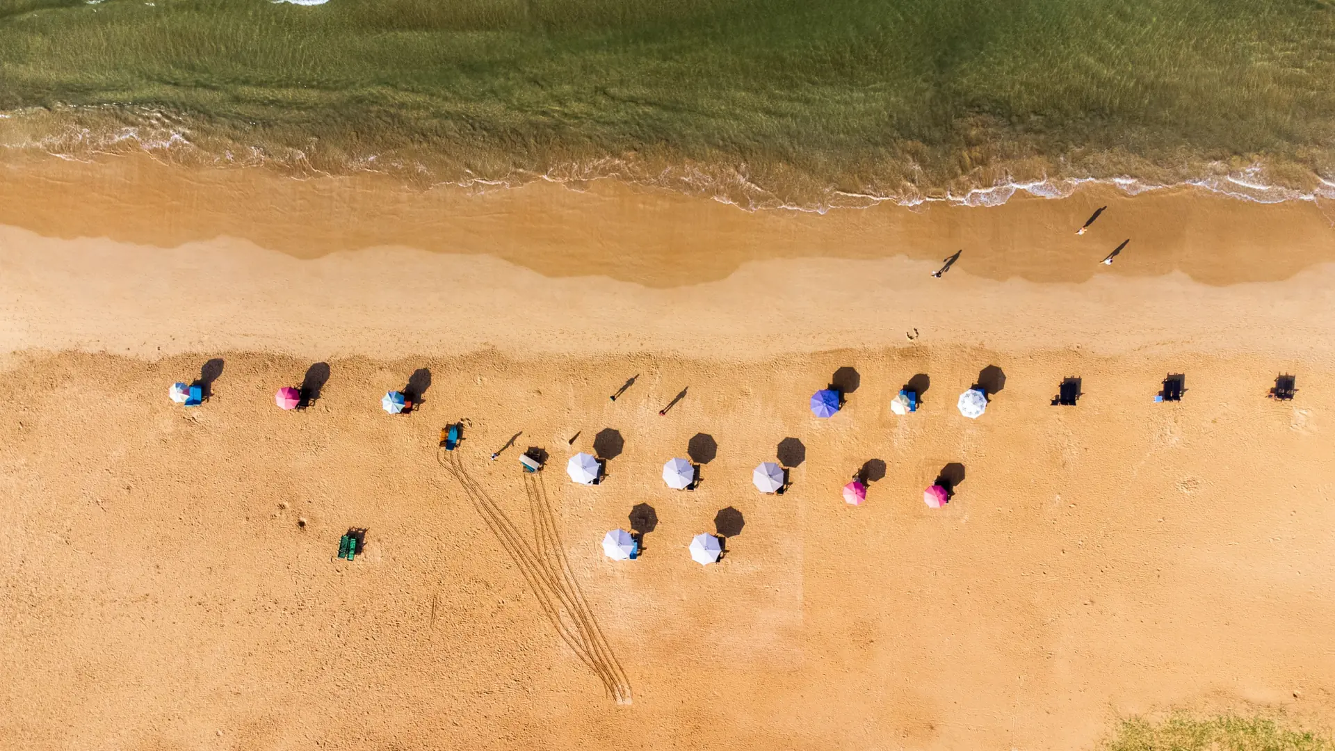 Colourful beach umbrellas on Bentota sand seen from above