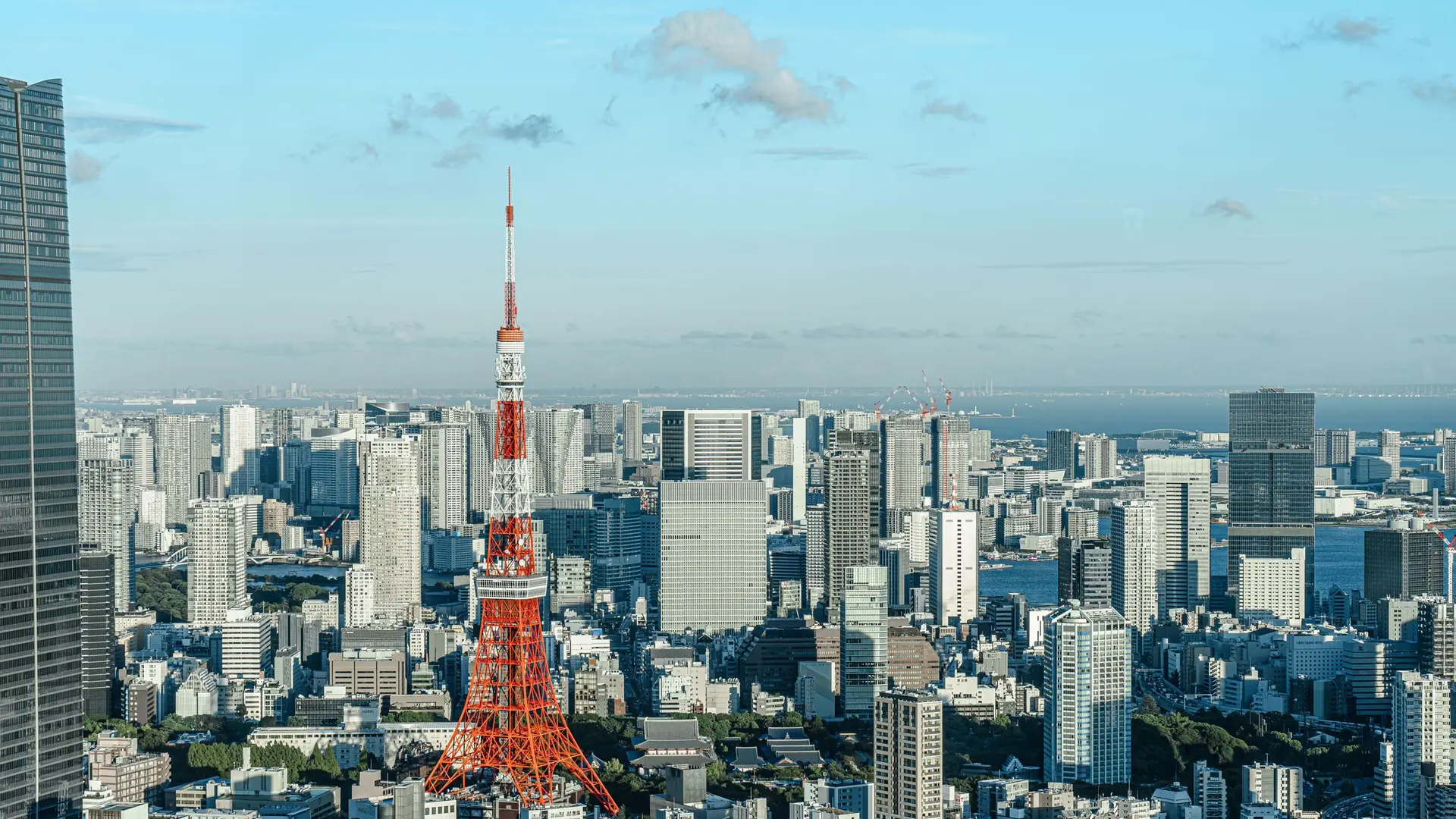 Tokyo Tower rising above sunlit city buildings, with Tokyo Bay in the distance