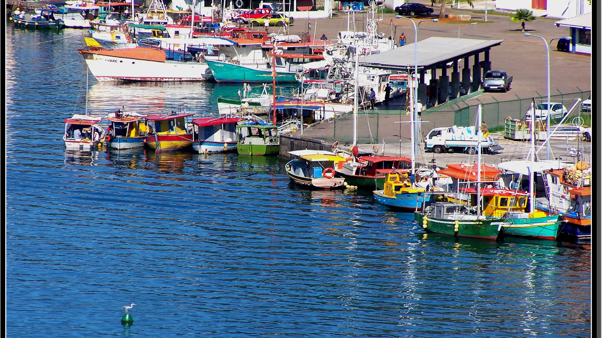 Colourful fishing boats moored in Victoria harbour on Mahé