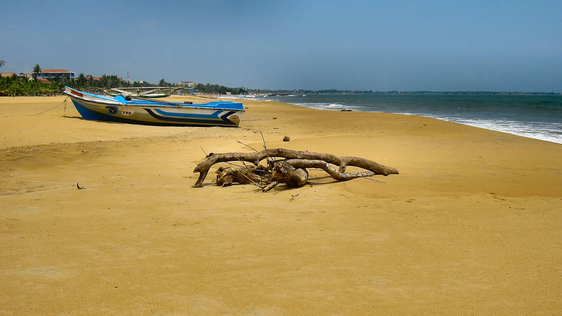 Traditional fishing boat on broad Negombo Beach beneath a blue sky