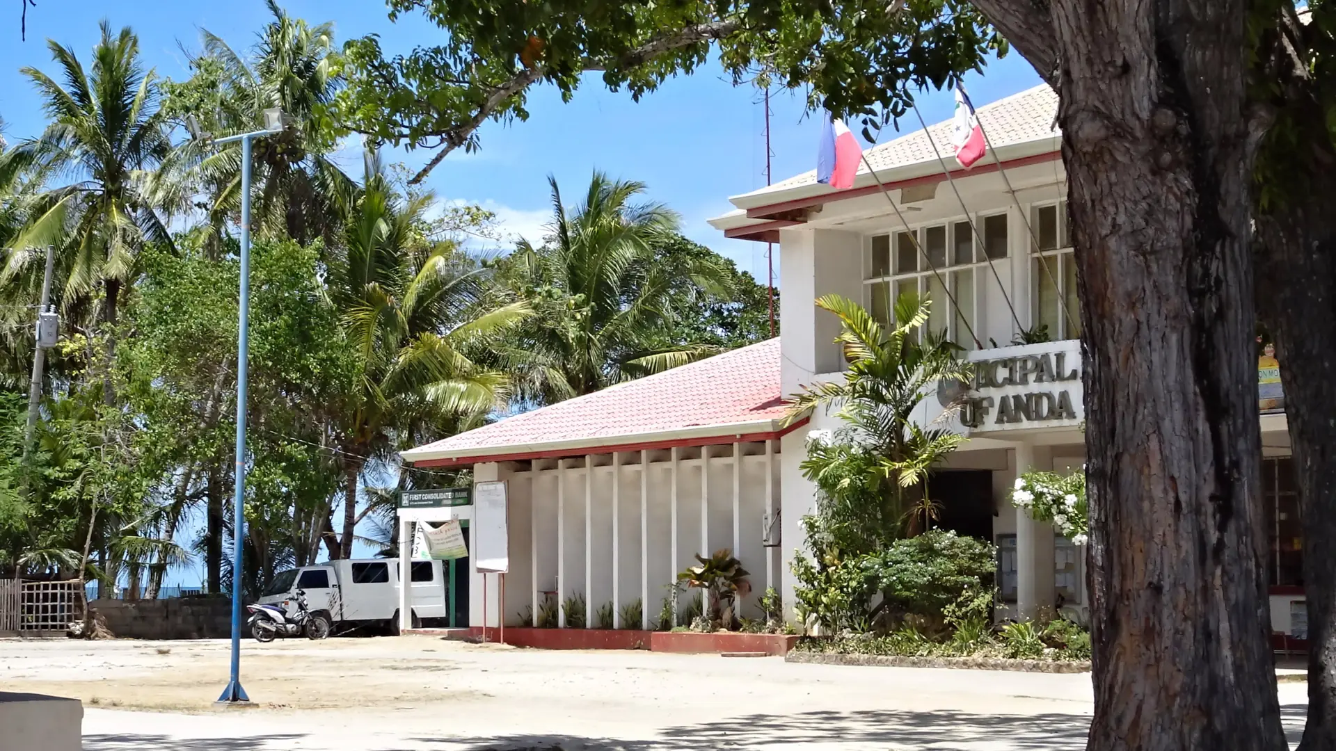 Anda municipal hall beneath palms and a large shade tree in sunny Bohol