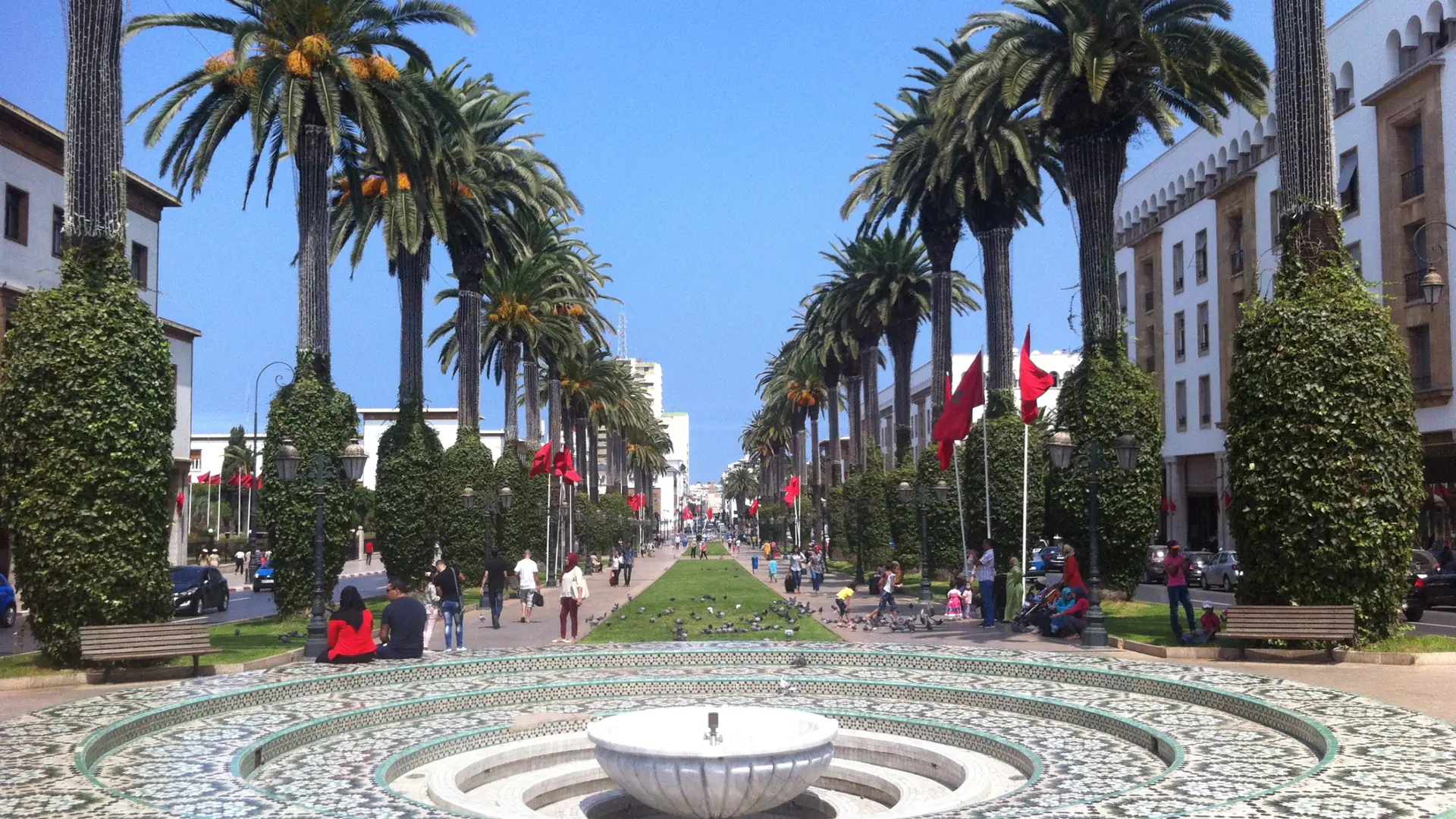 Palm-lined boulevard in Rabat Ville Nouvelle by day