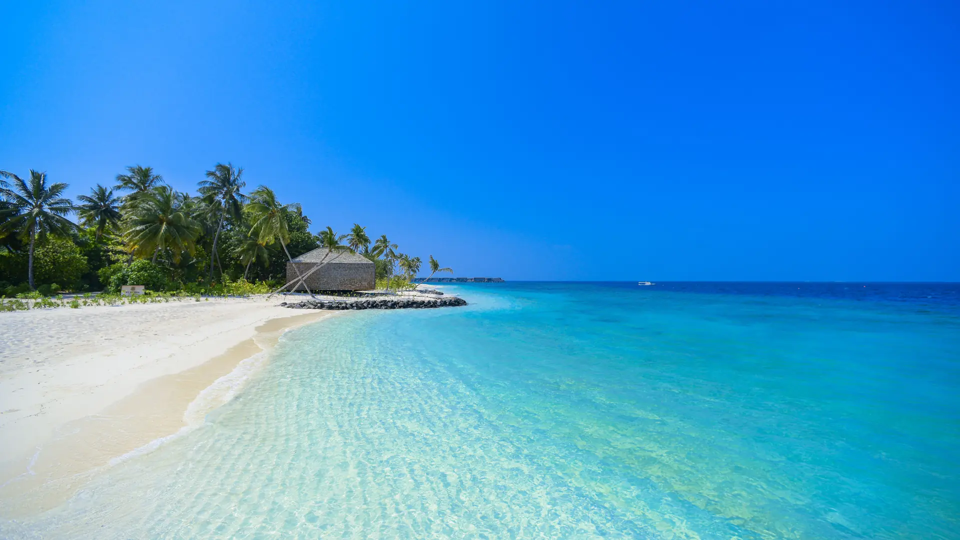 Bright sandy beach and clear lagoon in the Maldives beneath a blue sky