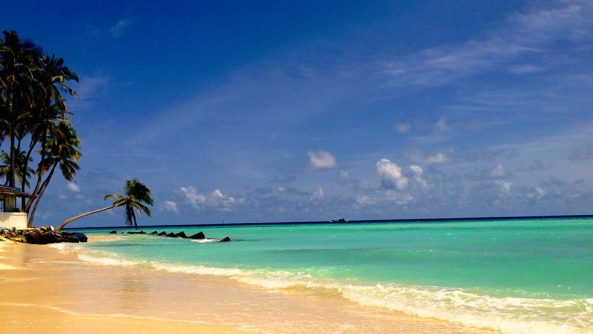 Palm-fringed sand and turquoise water on Maafushi island