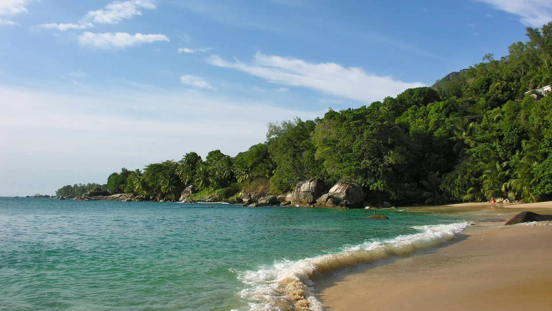 Blue water meeting the tree-lined shore at Beau Vallon on Mahé