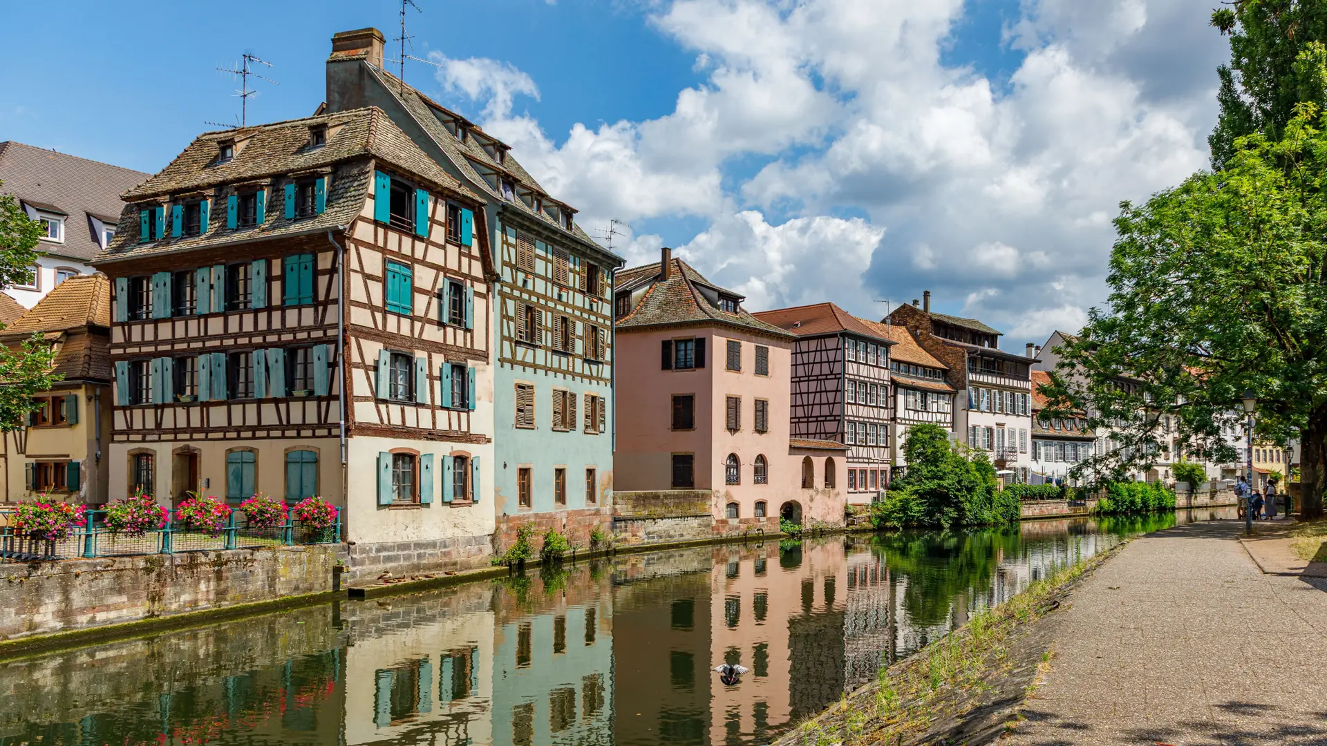 Sunny half-timbered canal houses in Strasbourg’s Petite France, shown as a wider city view