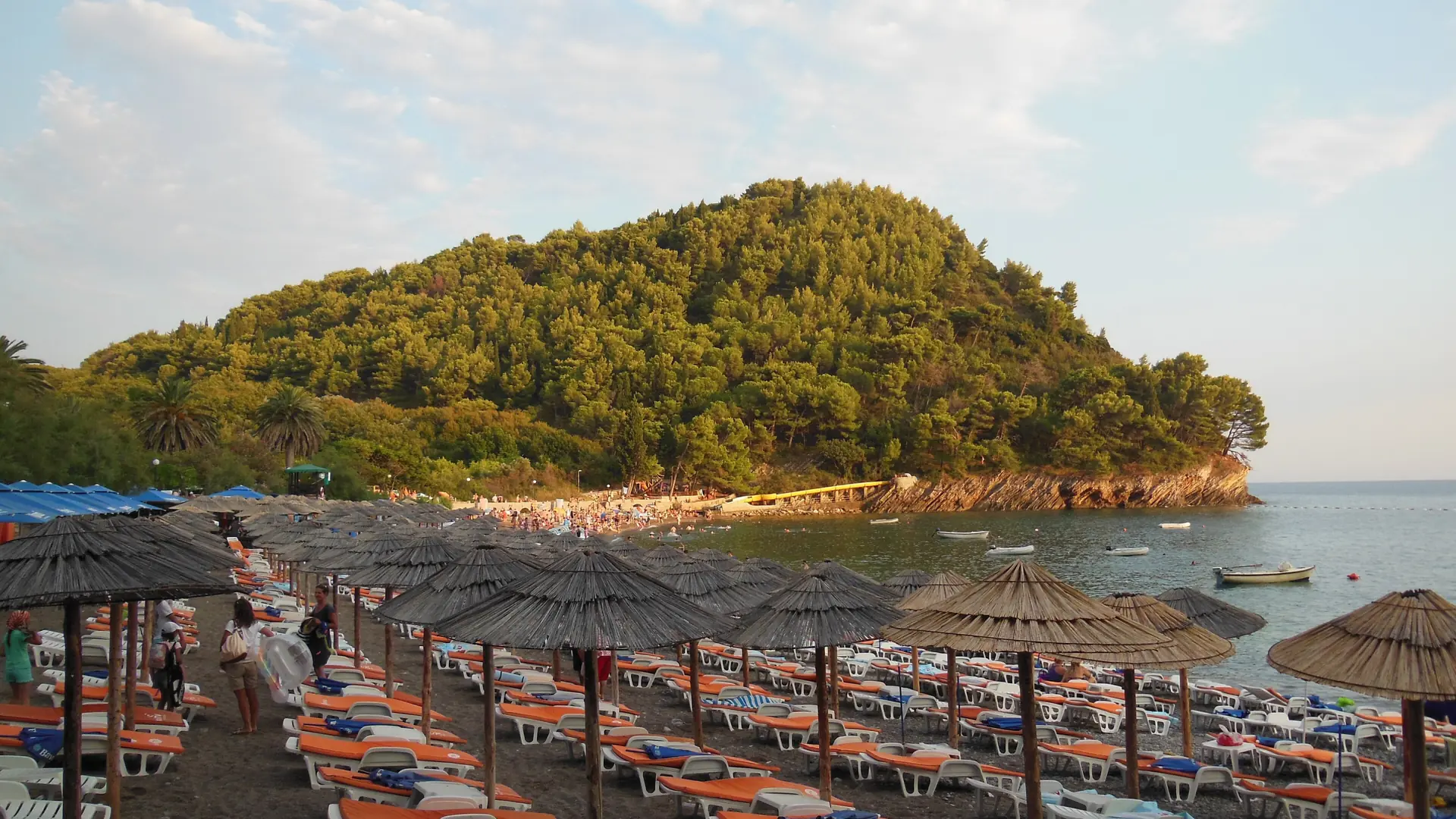 Lučice cove and pine trees near Petrovac in daylight
