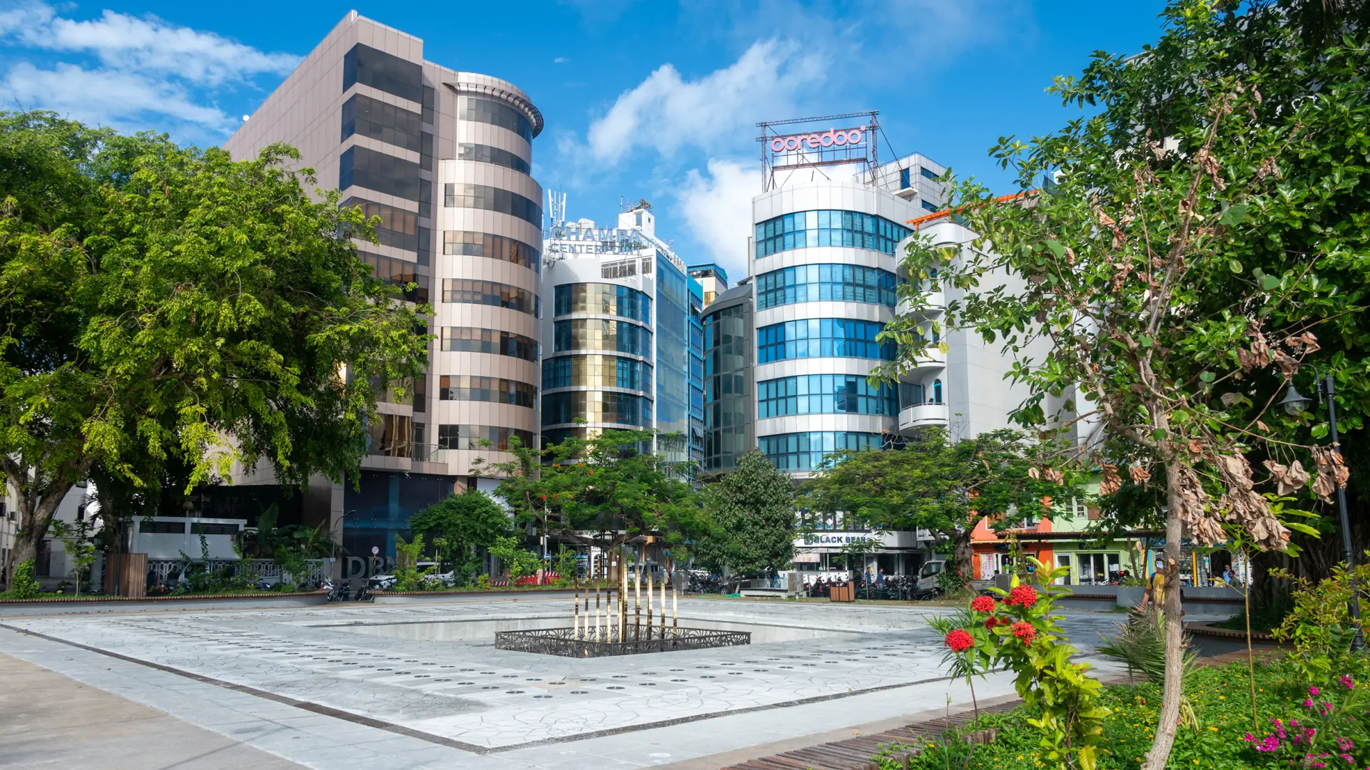 Sunny tree-lined Malé city street with local buildings and bicycles; ward not identified