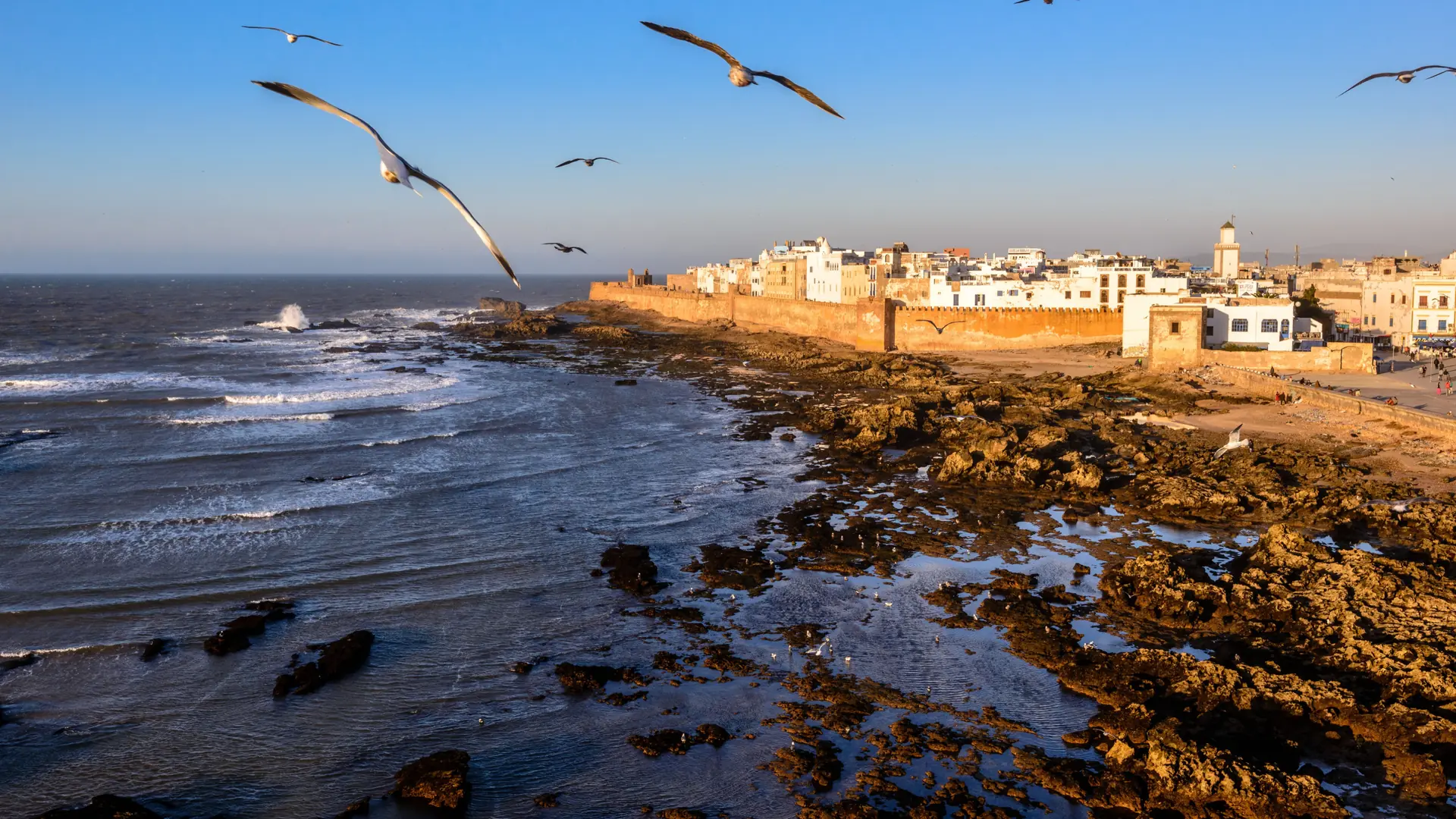 Essaouira shoreline and sunlit medina beneath a blue sky