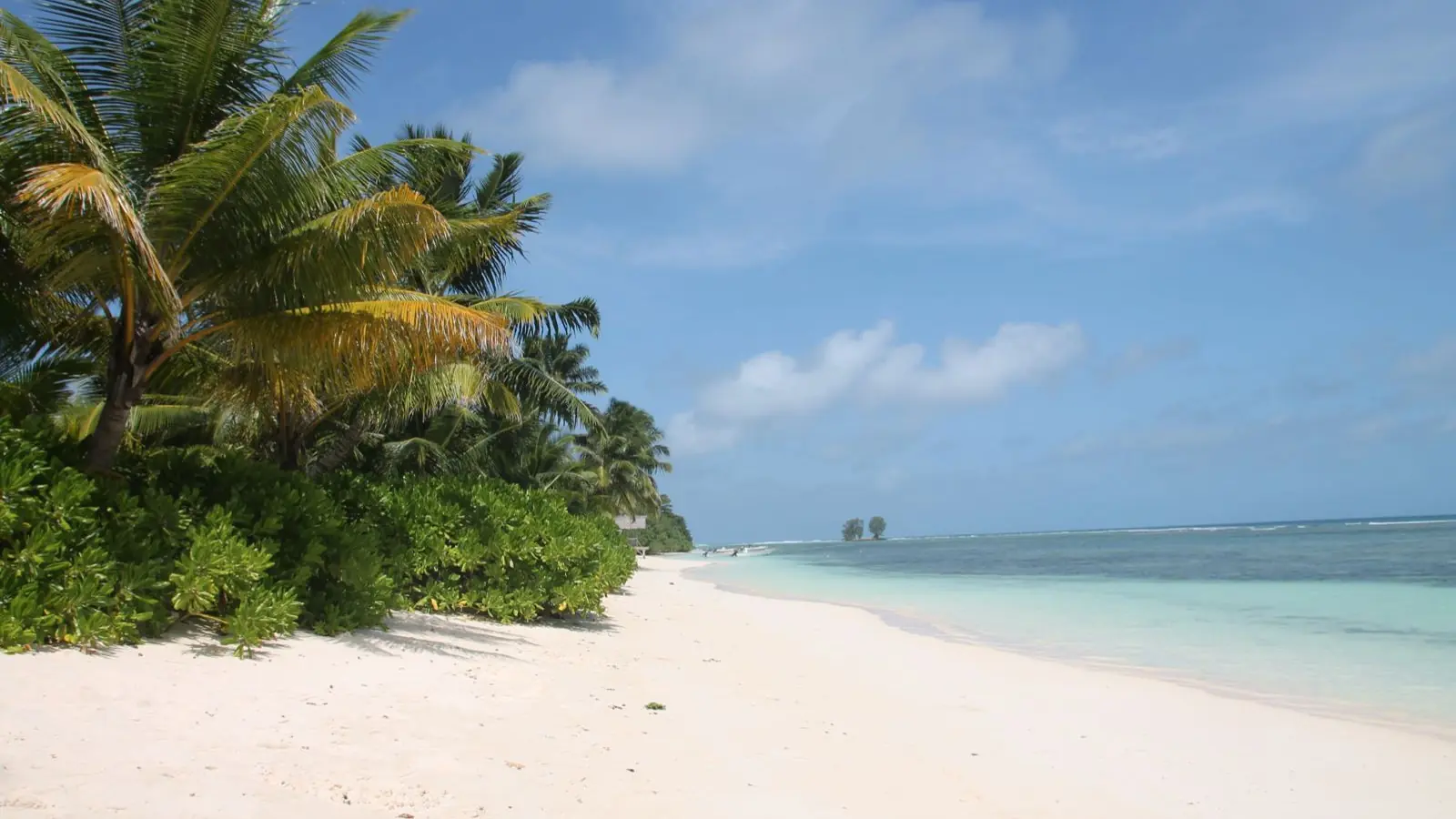 White sand, coconut palms and pale blue water at Anse Réunion on La Digue