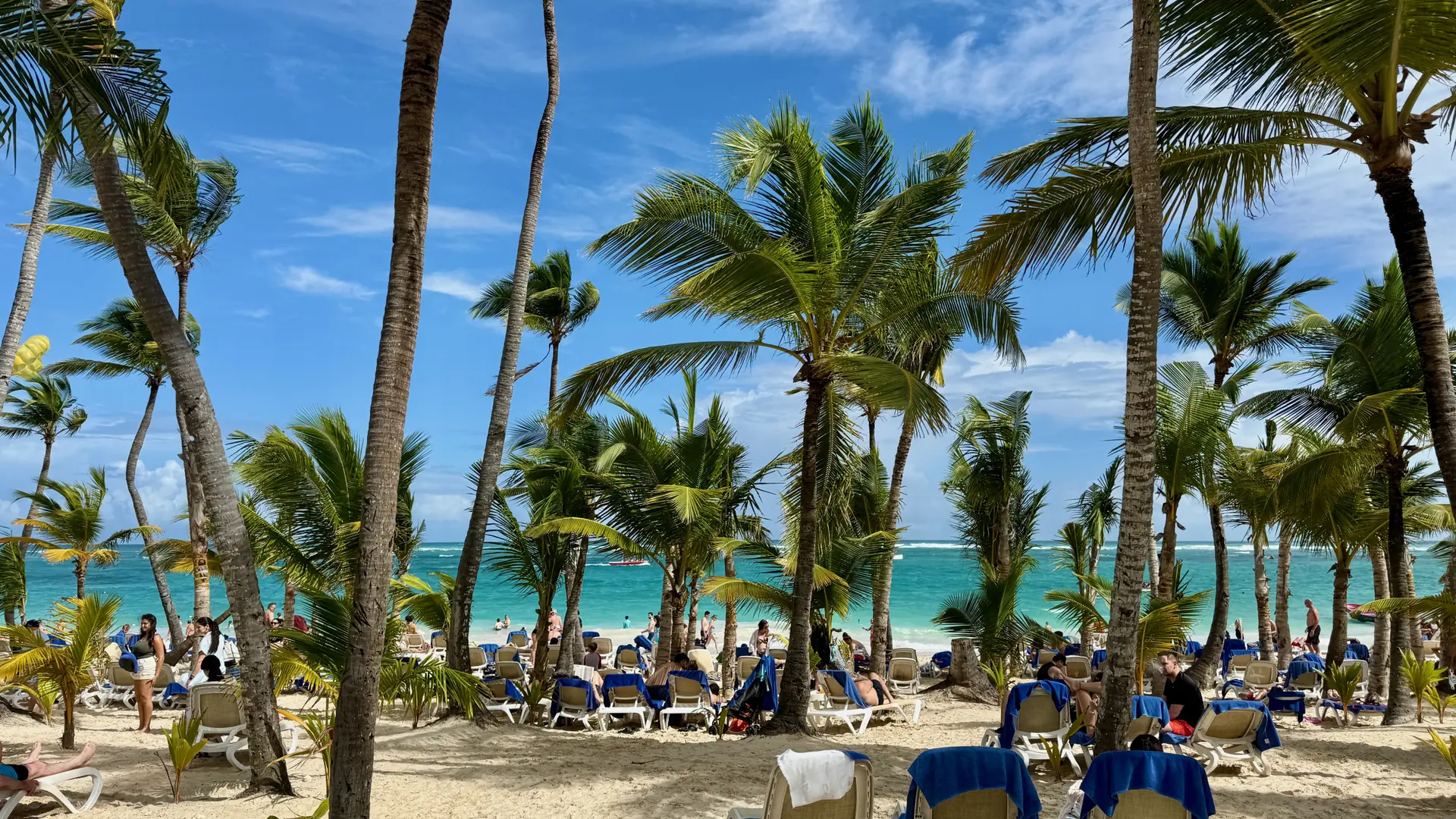 Bávaro coastline in daylight, with palms and a broad sandy shore