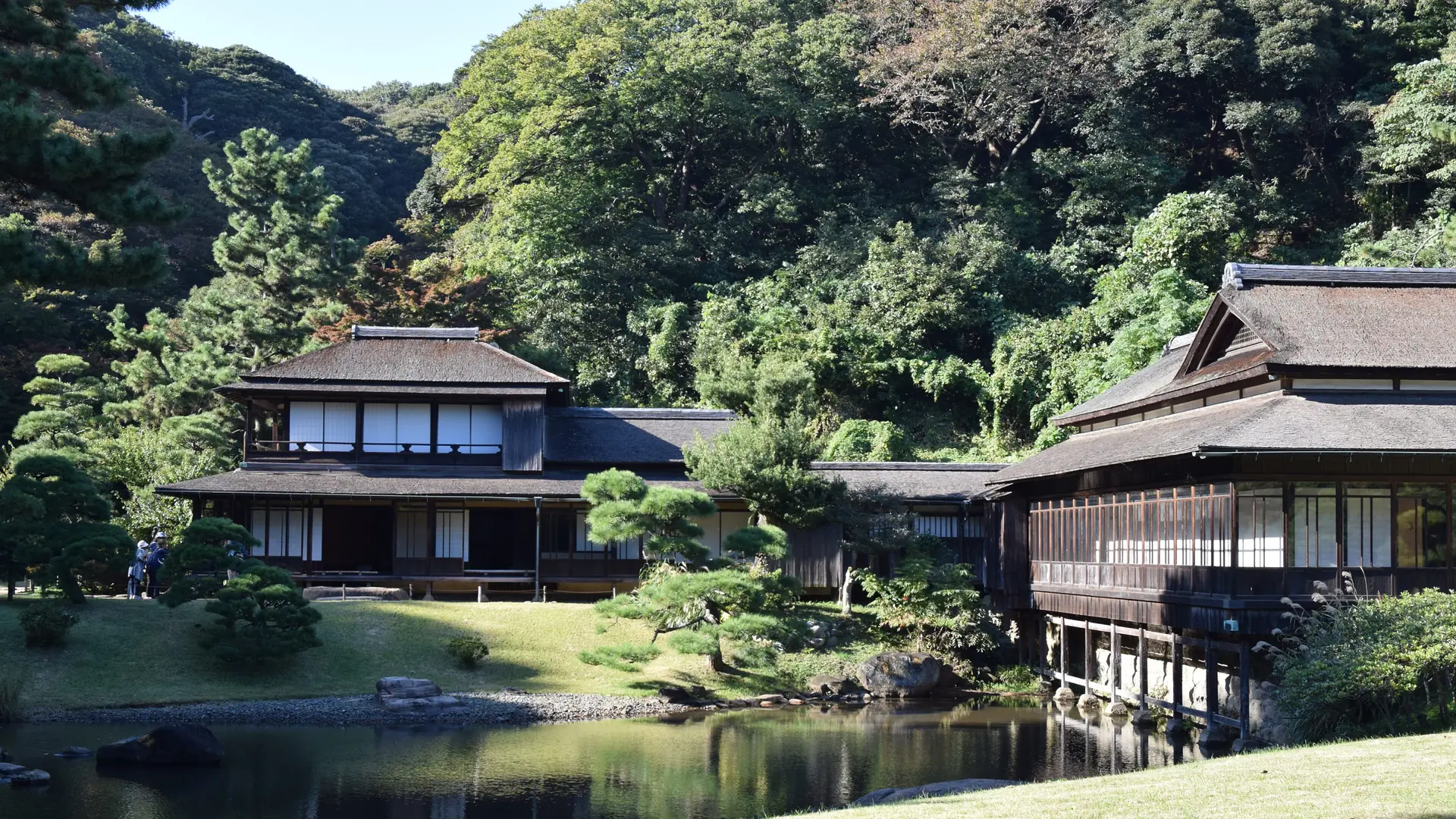 Rinshunkaku’s connected timber buildings beside a pond and sunlit lawn in Sankeien.