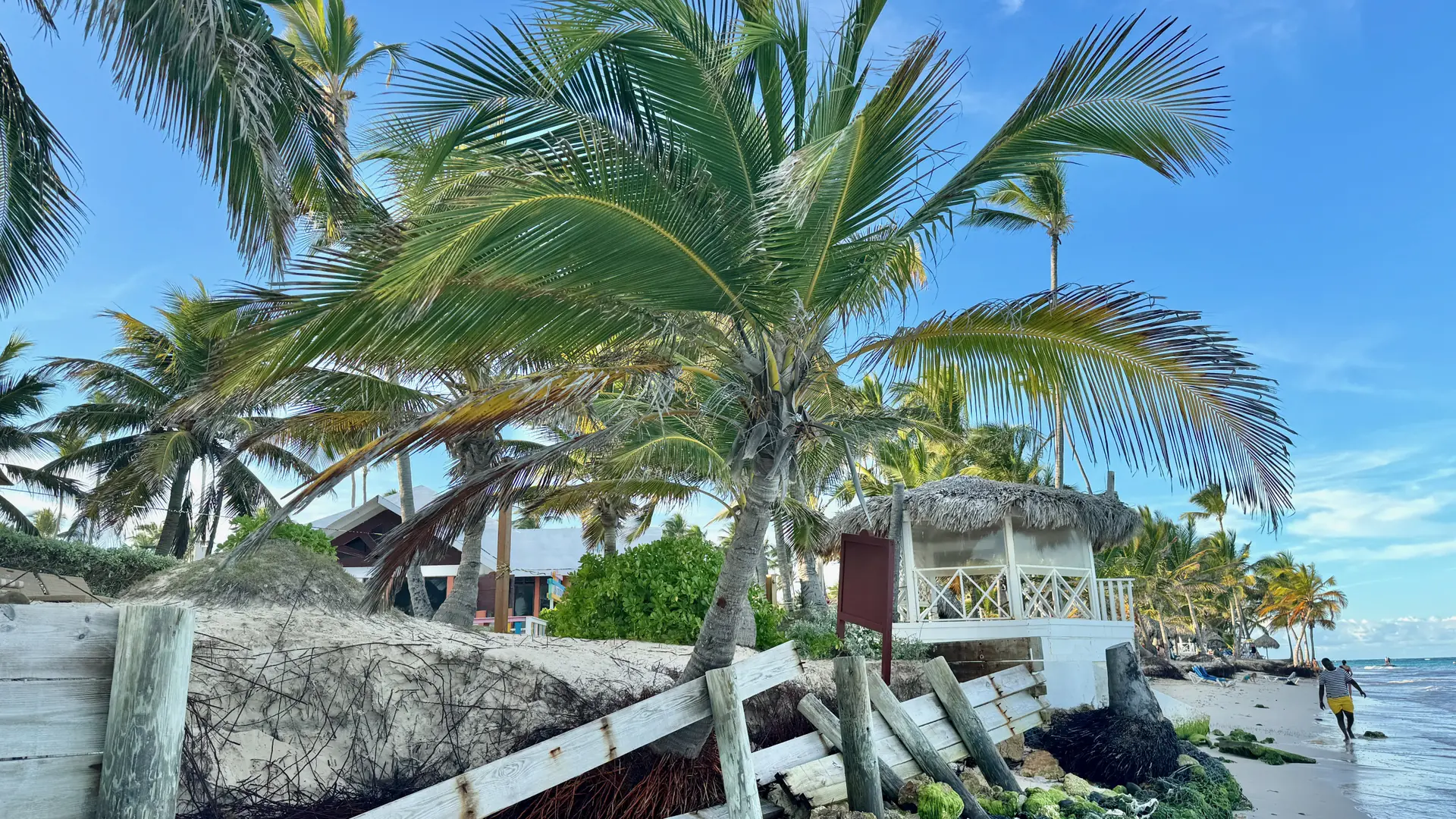 Palms, beachfront buildings and bright sea at Bávaro Beach, Punta Cana