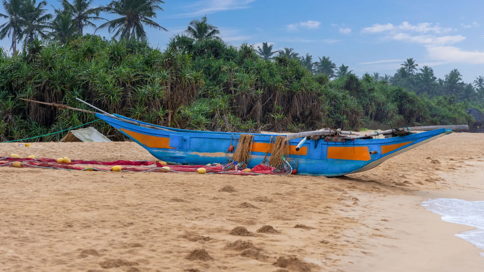 Colourful traditional fishing boat on sandy Bentota Beach below a palm grove