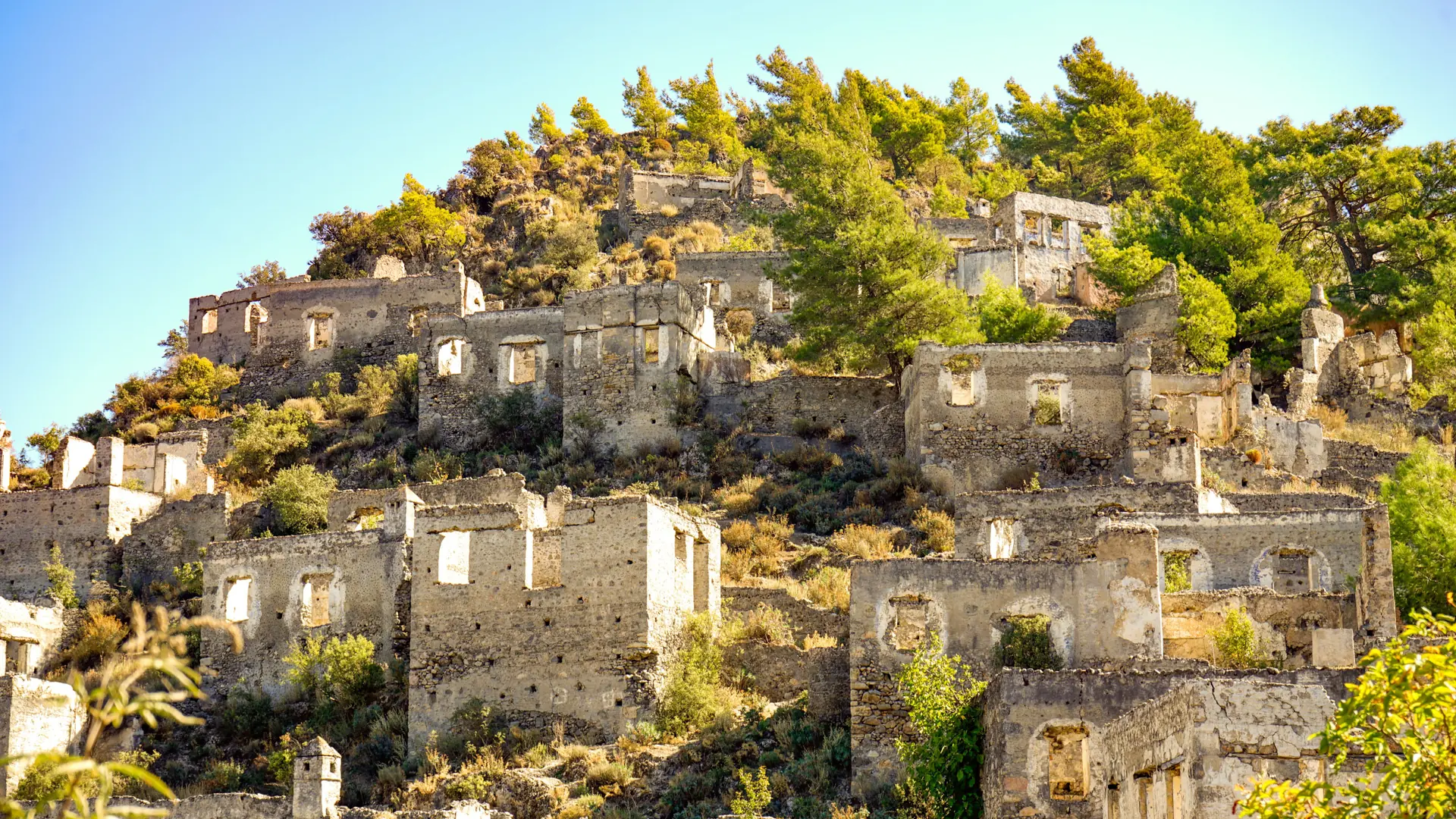Sunlit stone houses and pine trees in the old hill village of Alonnisos