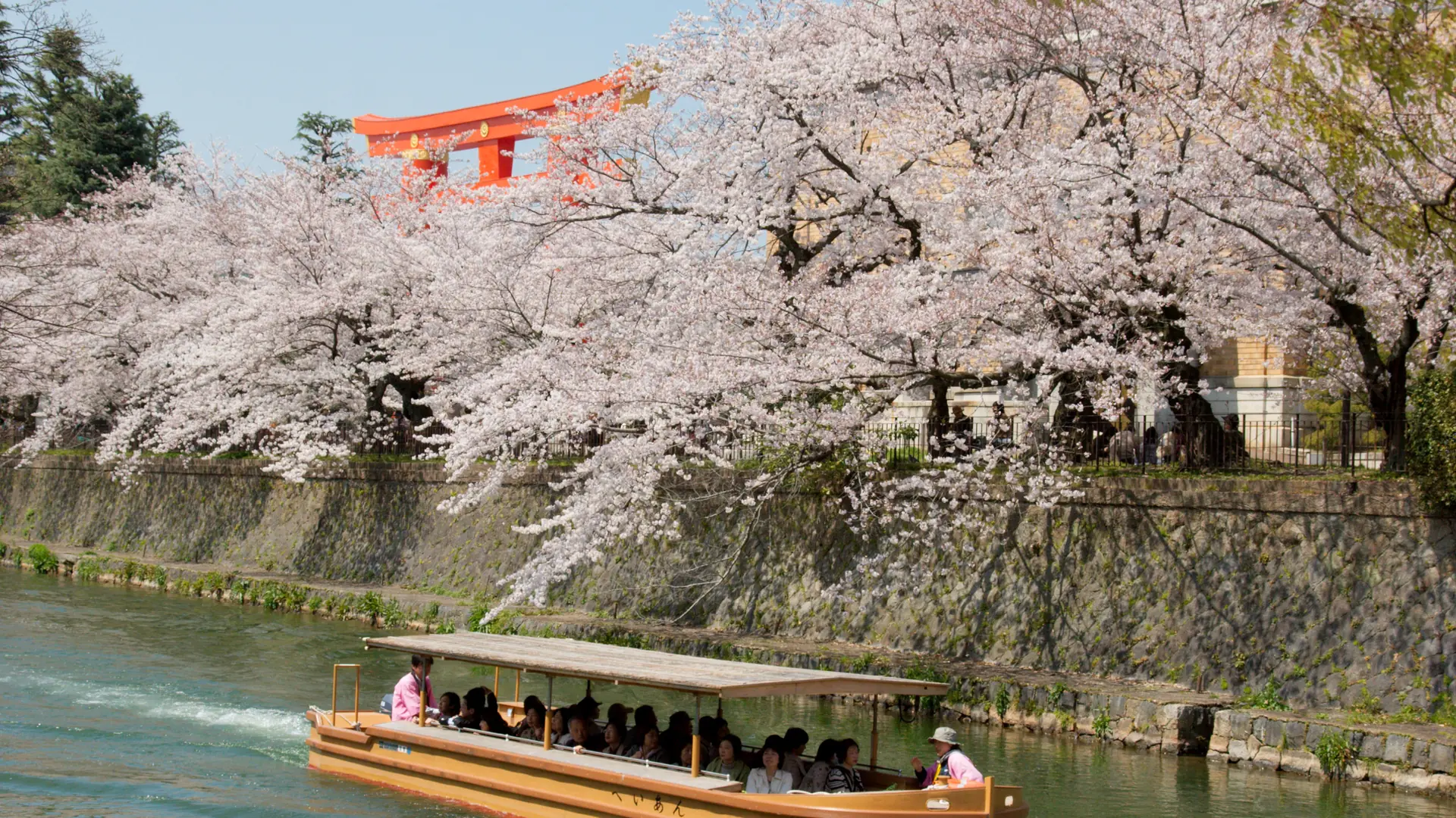 sunny Okazaki canal in Kyoto framed by spring trees near the museum district